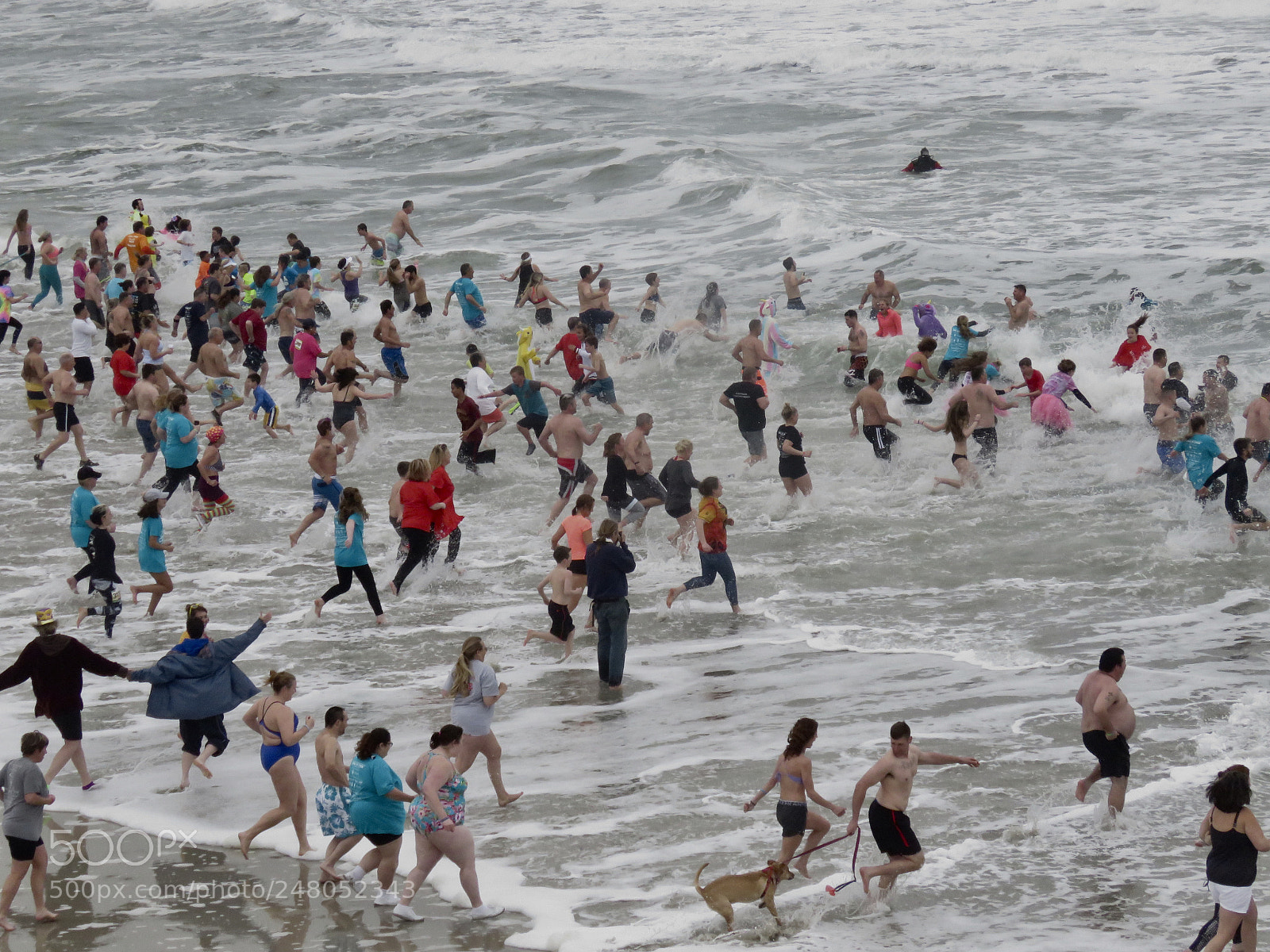 Canon PowerShot SX60 HS sample photo. Polar plunge photography