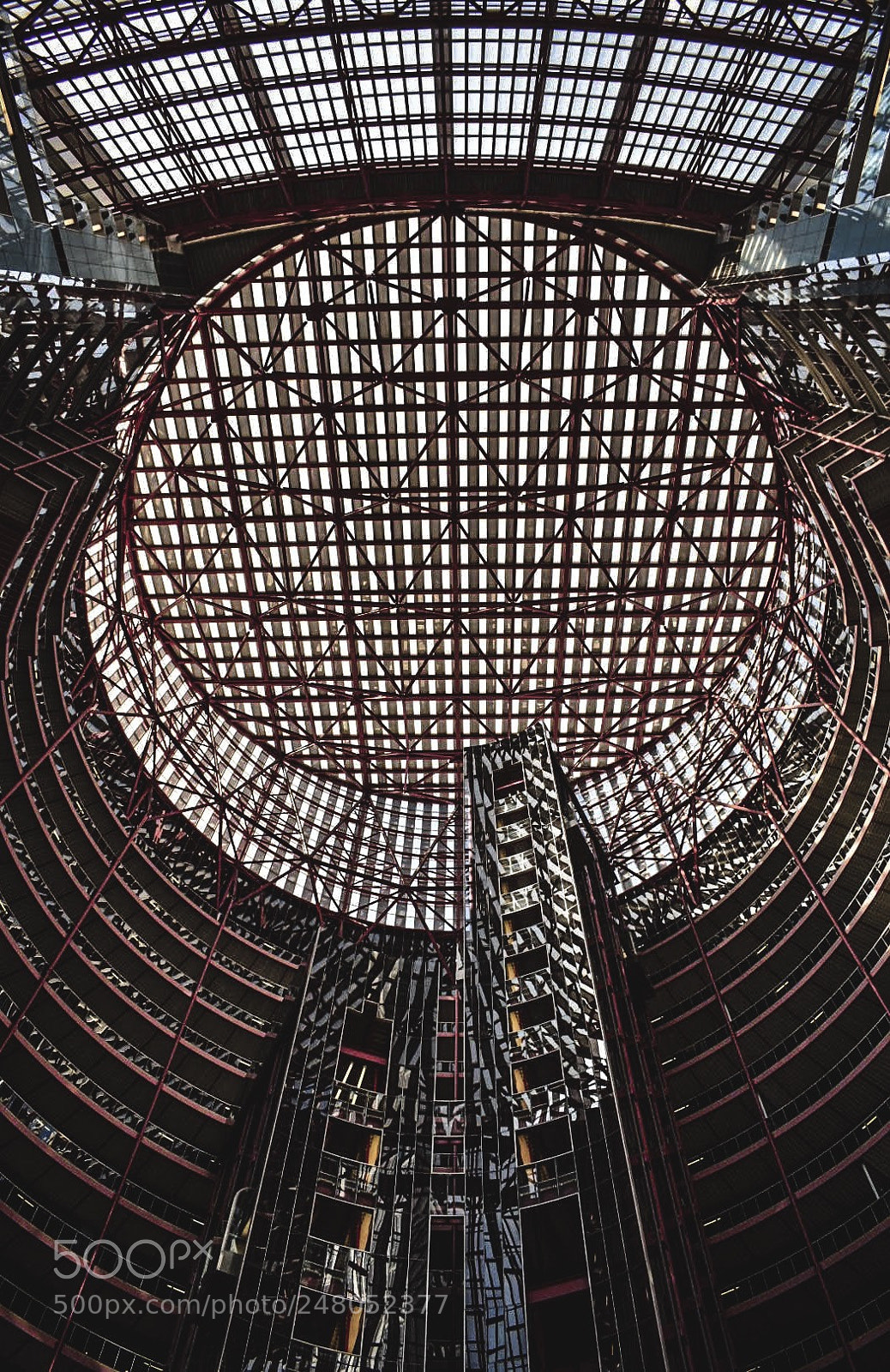 Nikon D3400 sample photo. Looking up photography