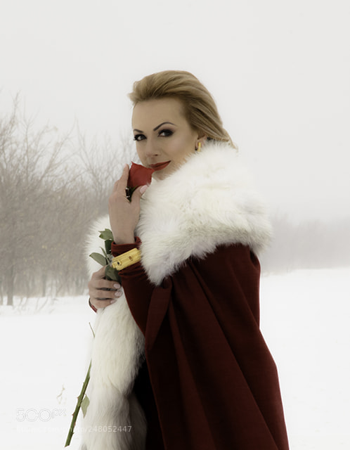 Canon EOS 60D sample photo. Thru the snow and photography