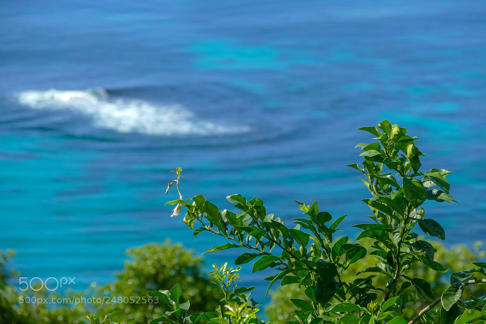 Panasonic Lumix DMC-FZ1000 sample photo. Seychelles - mah photography