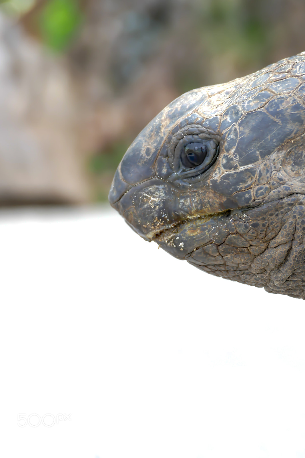 Panasonic Lumix DMC-FZ1000 sample photo. Seychelles - la digue photography