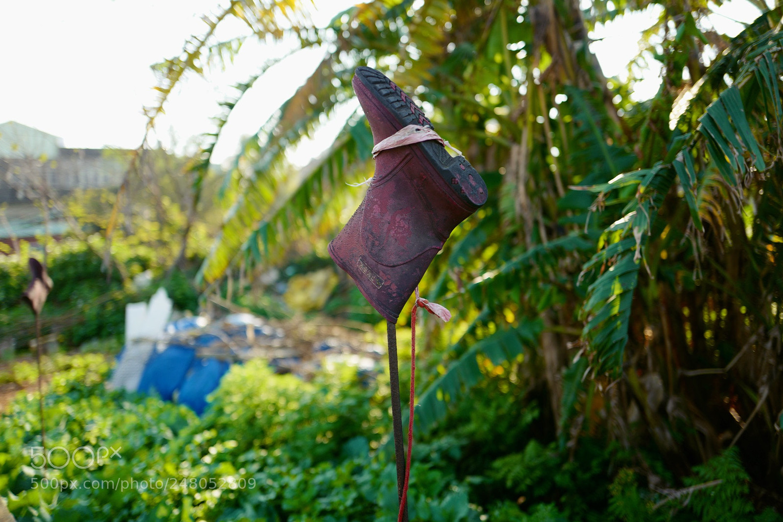 Leica Q (Typ 116) sample photo. 這個是稻草人嗎？ photography
