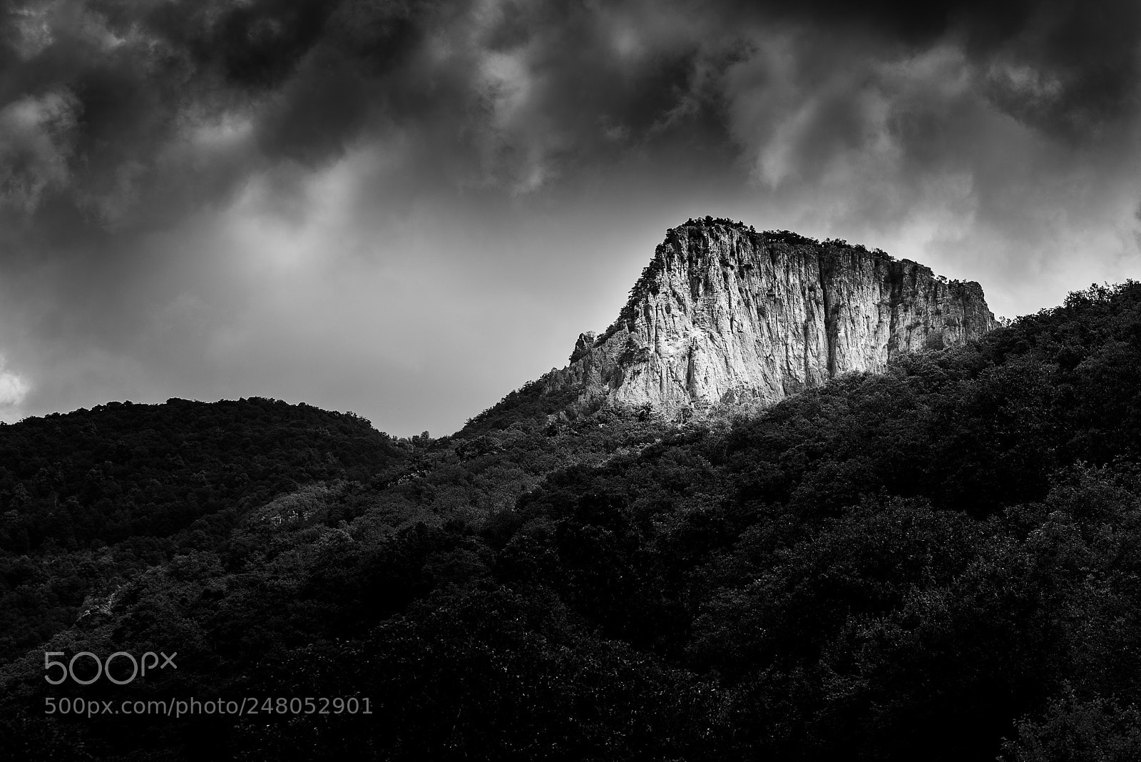 Nikon D610 sample photo. Black and white peak photography