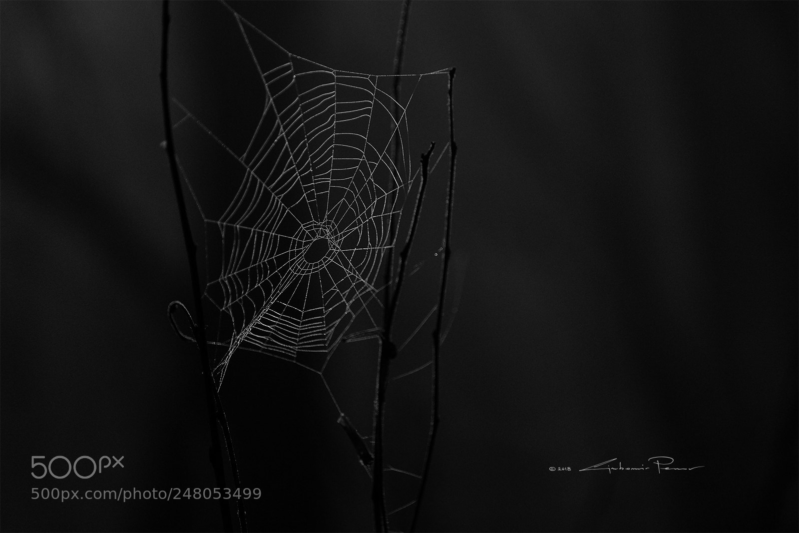 Fujifilm X-T1 sample photo. Web photography