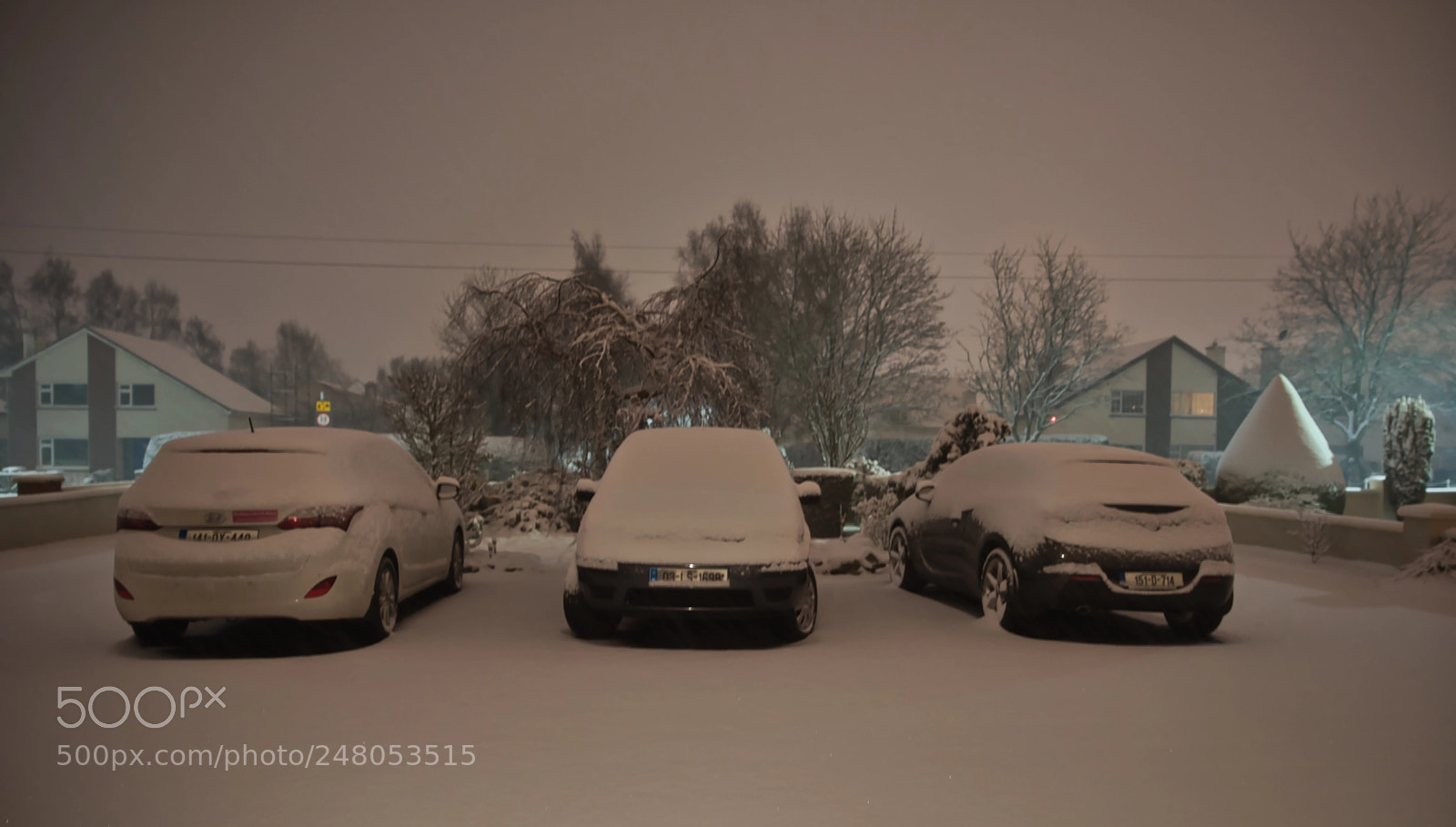 Nikon D810 sample photo. Snow storm photography