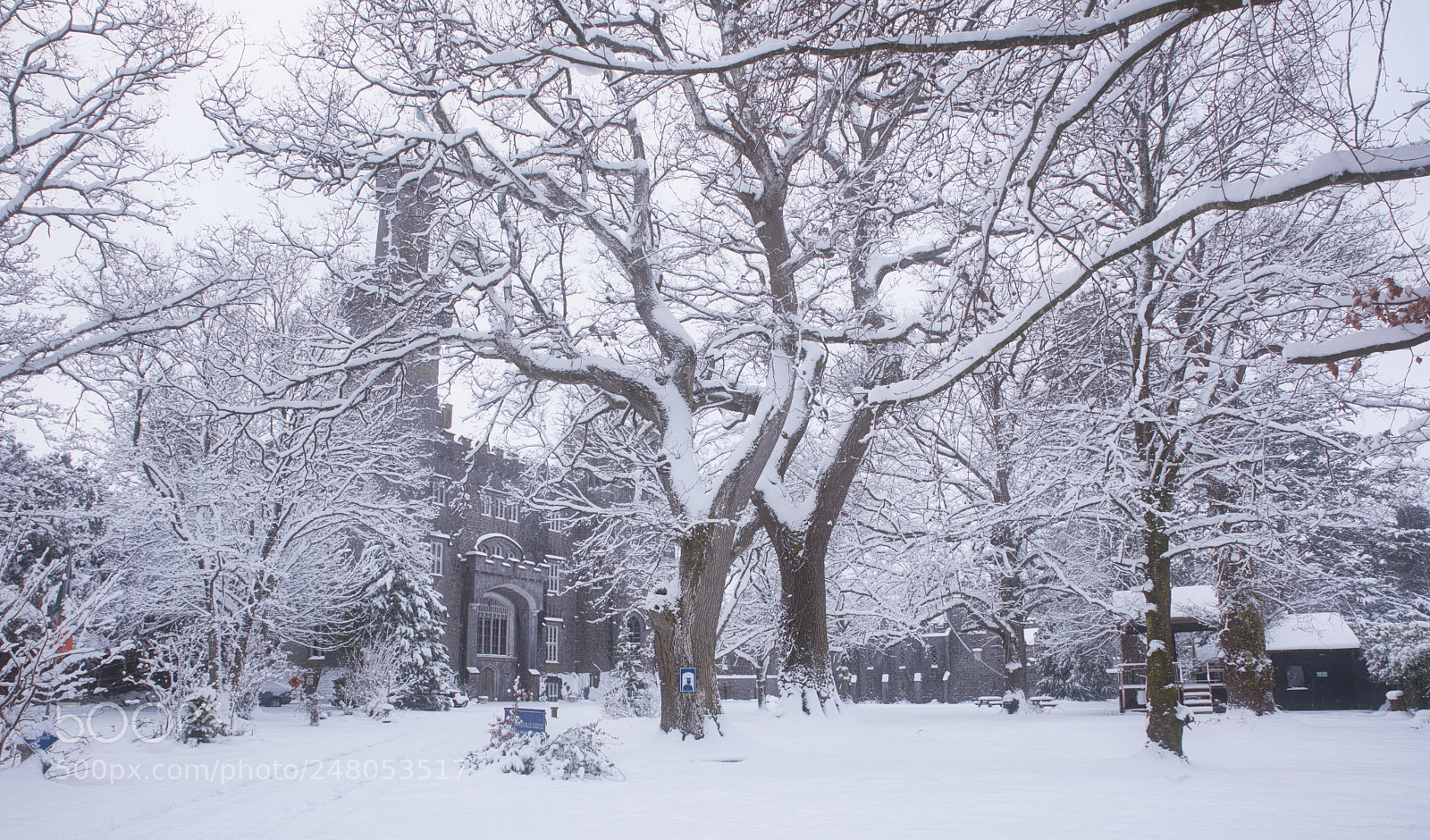 Nikon D810 sample photo. Snow storm photography