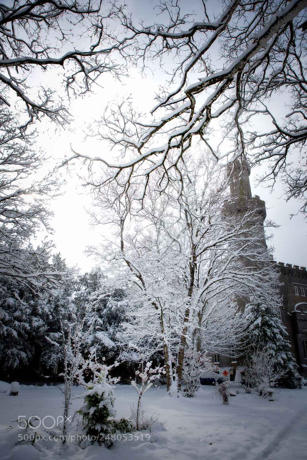 Nikon D810 sample photo. Snow storm photography