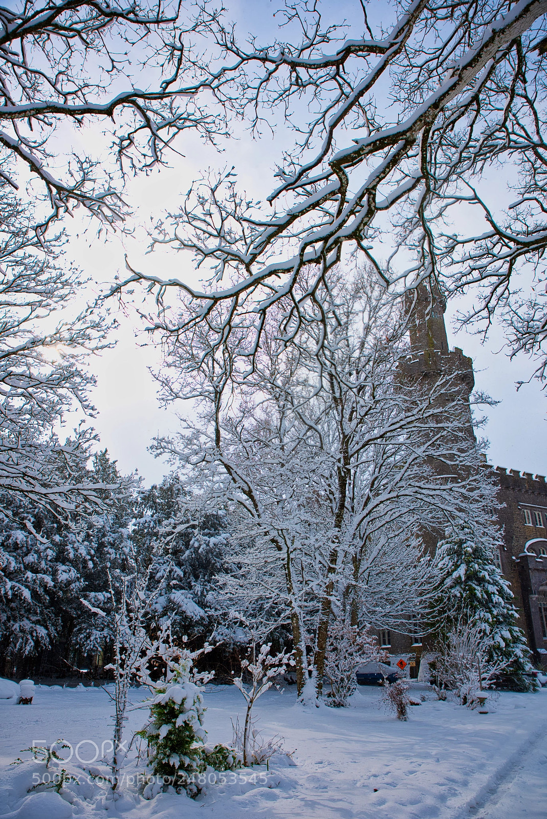 Nikon D810 sample photo. Snow storm photography