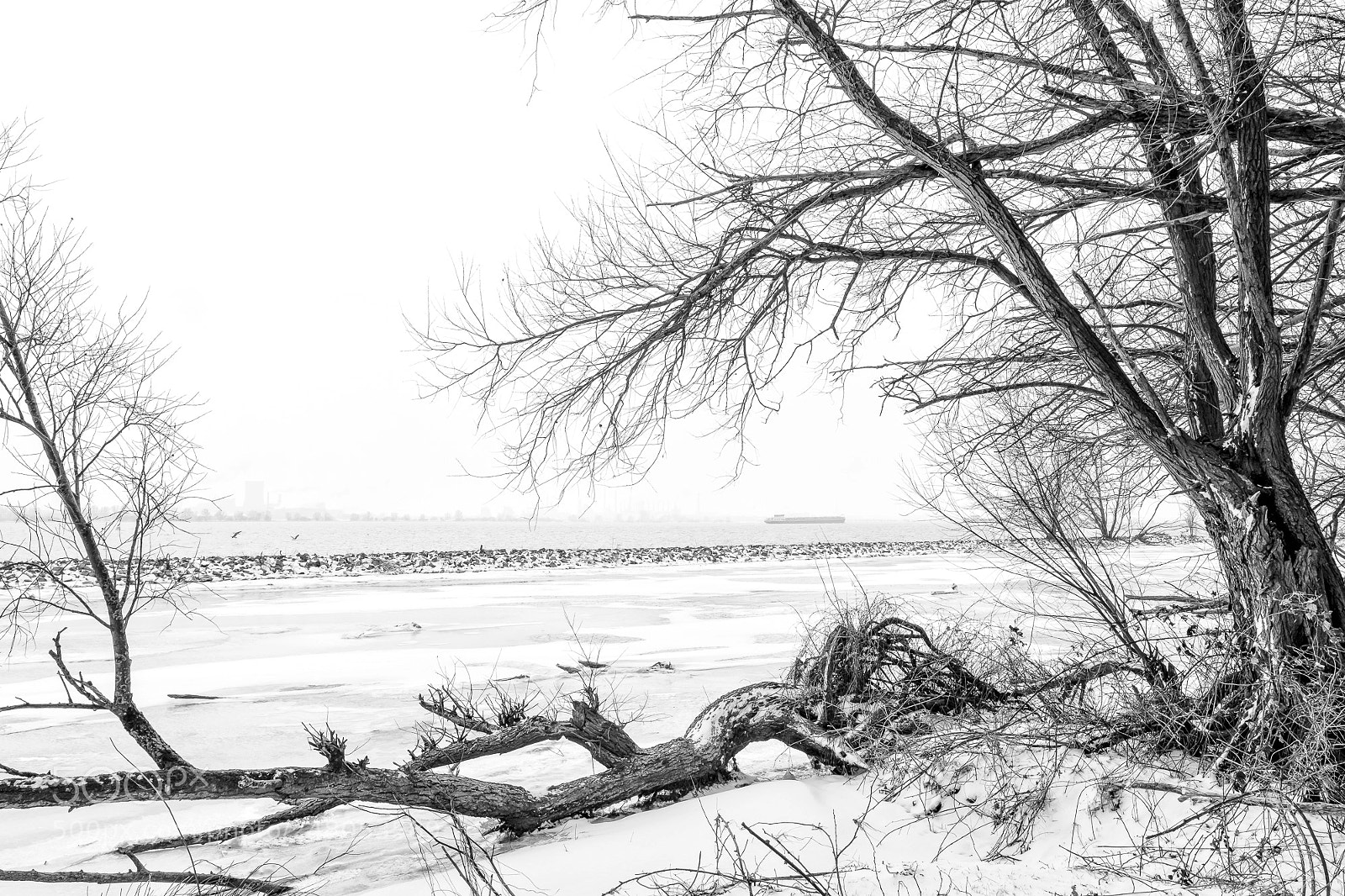 Fujifilm X-T2 sample photo. View on hollandsdiep photography