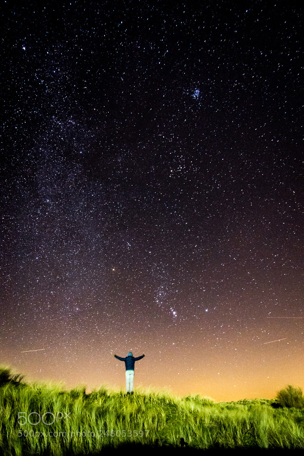 Nikon D7200 sample photo. Under the stars photography