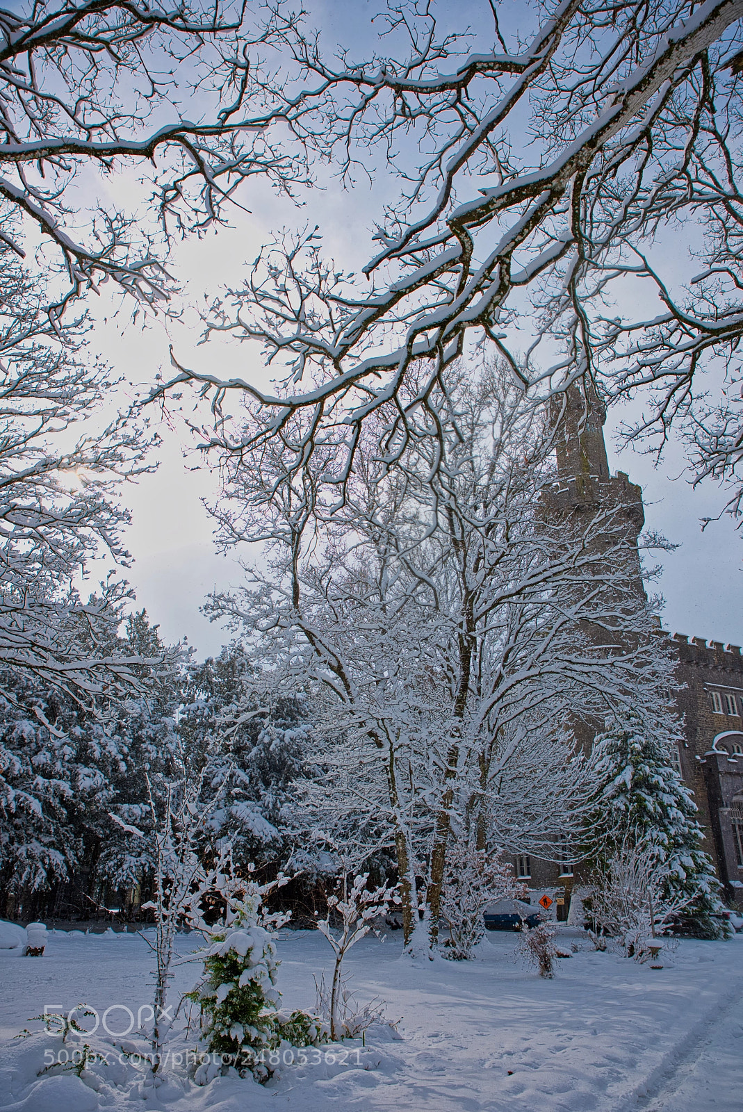 Nikon D810 sample photo. Snow storm photography