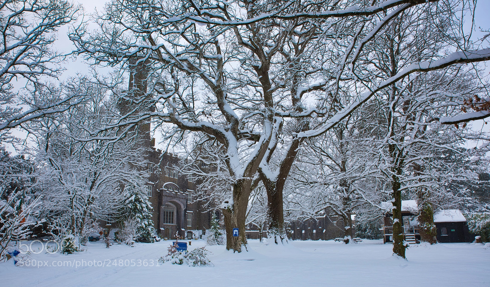 Nikon D810 sample photo. Snow storm photography