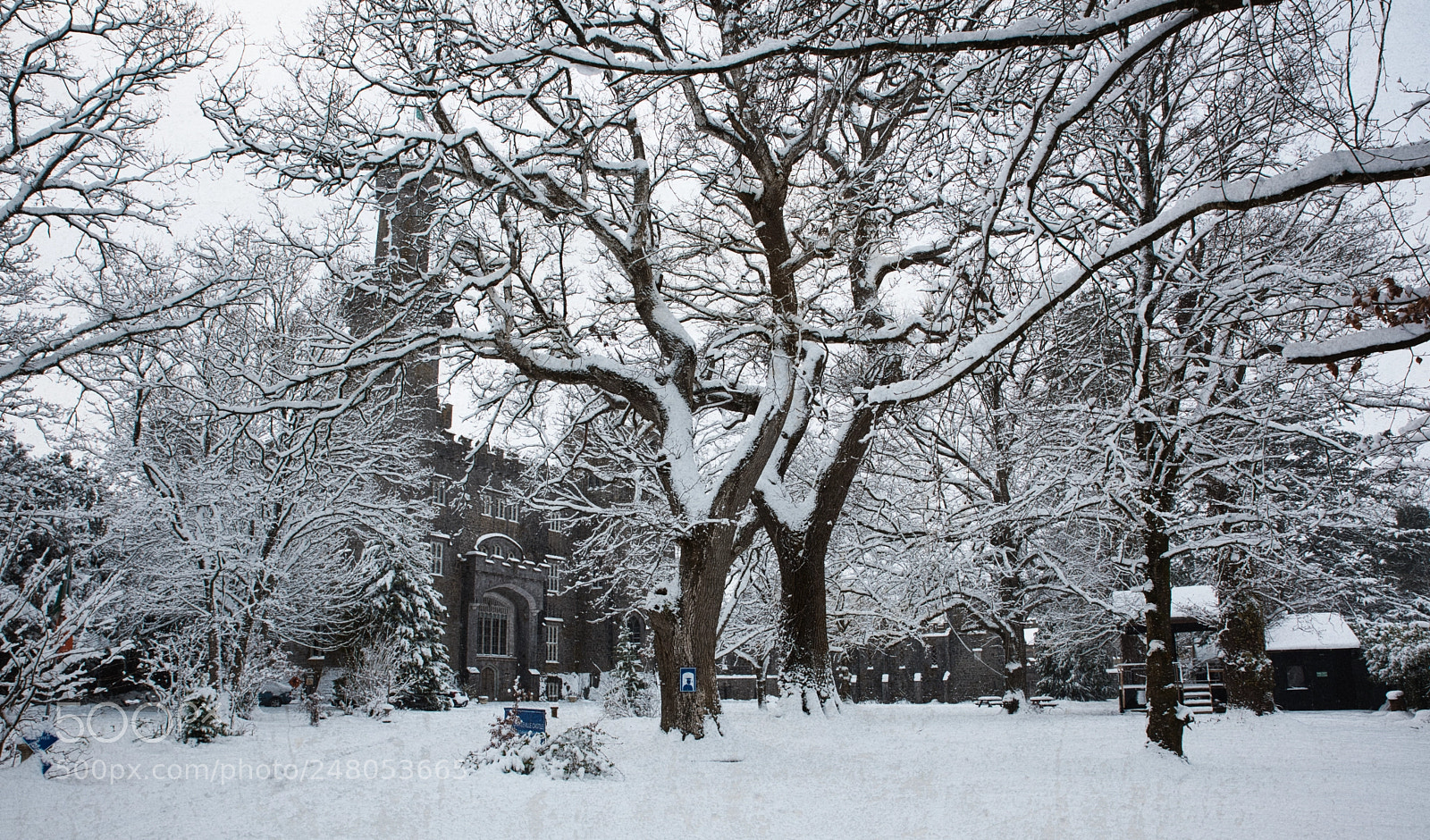 Nikon D810 sample photo. Snow storm photography