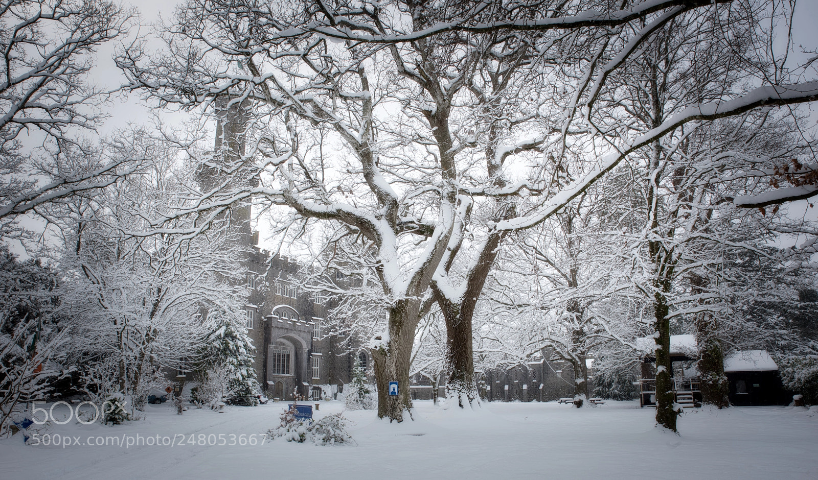 Nikon D810 sample photo. Snow storm photography