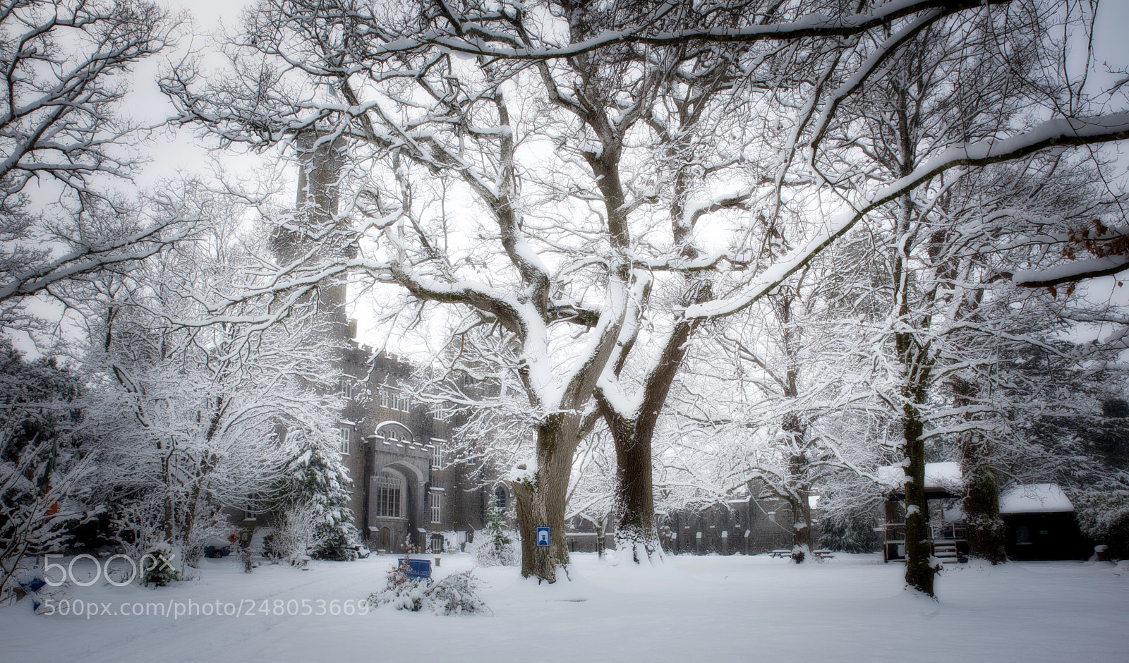 Nikon D810 sample photo. Snow storm photography