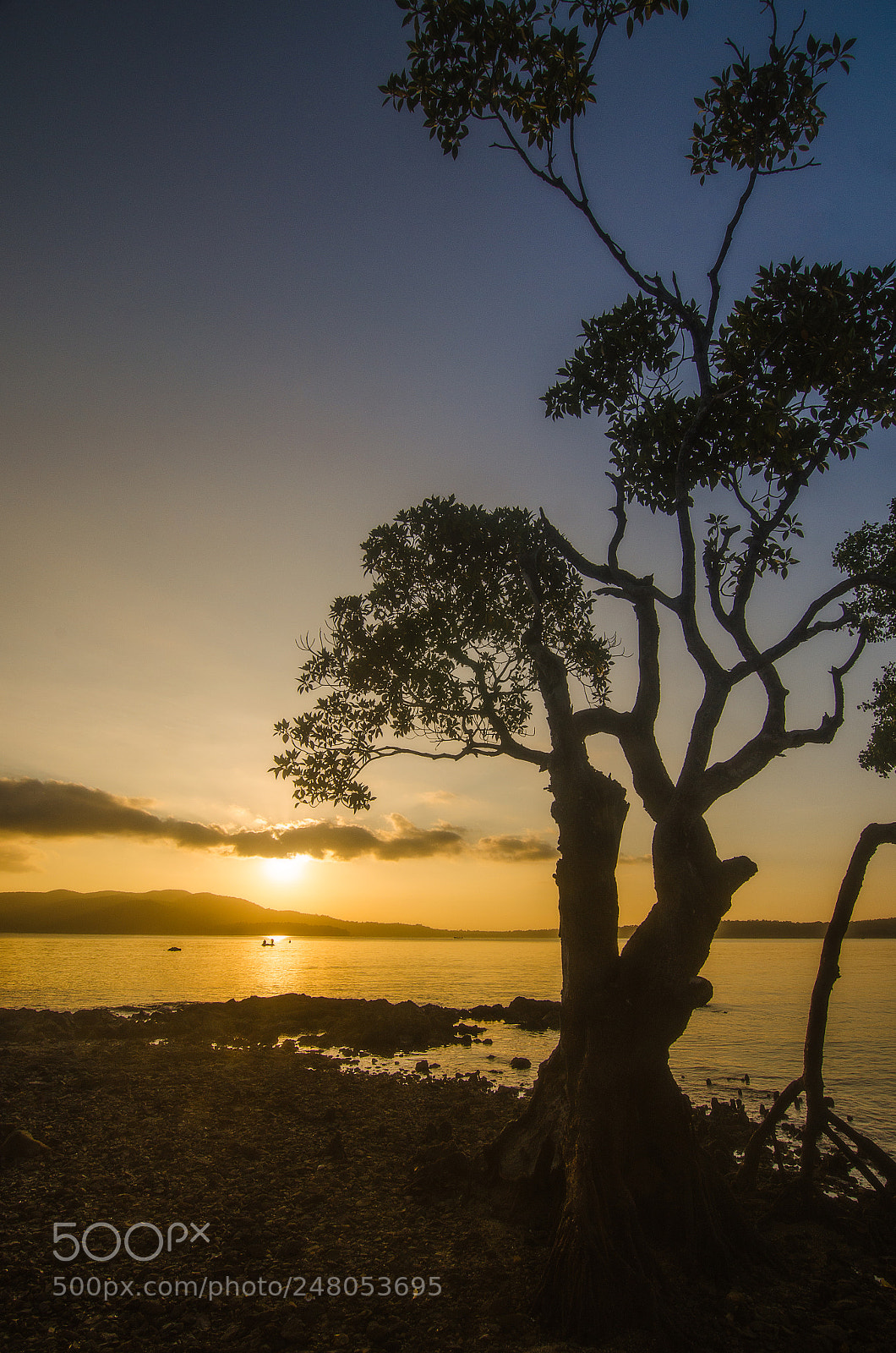Nikon D5100 sample photo. Chidiya tapu sunset photography