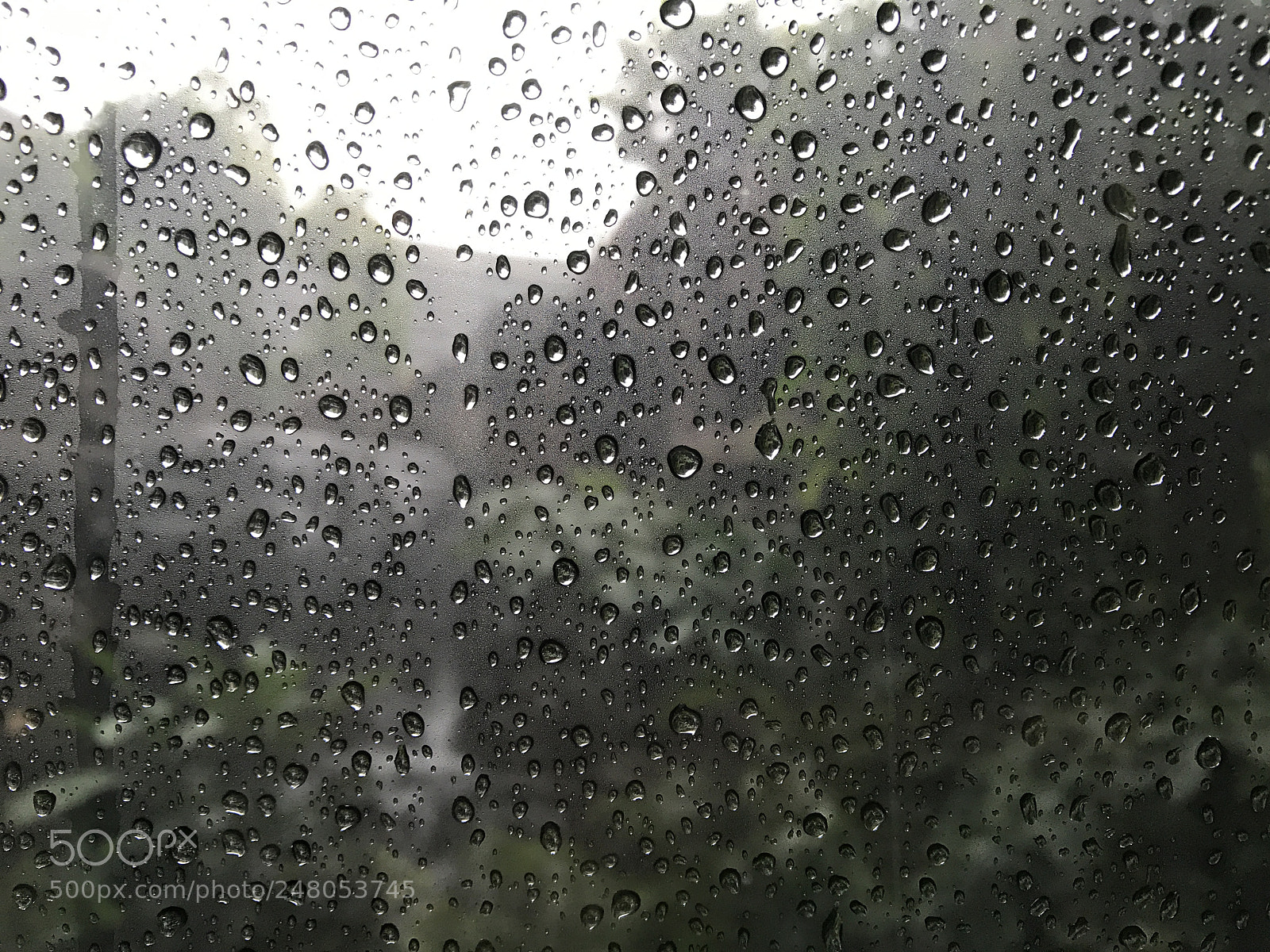Apple iPhone 7 Plus sample photo. Droplets photography