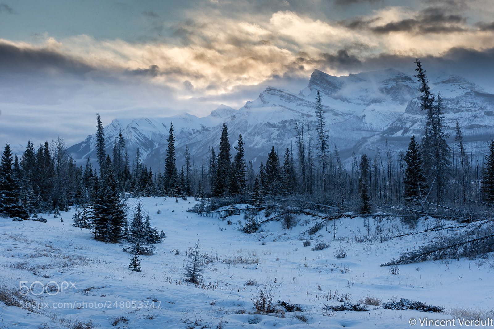Canon EOS 7D Mark II sample photo. Sun and snow photography