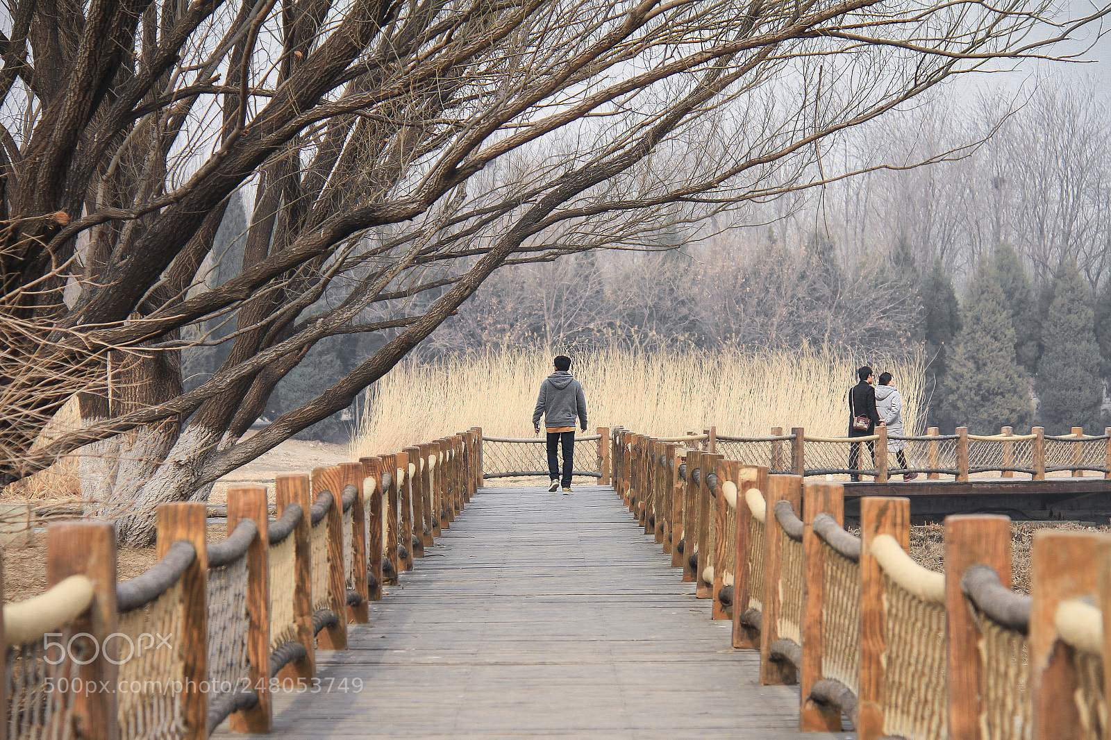 Canon EOS 7D sample photo. 飒 photography