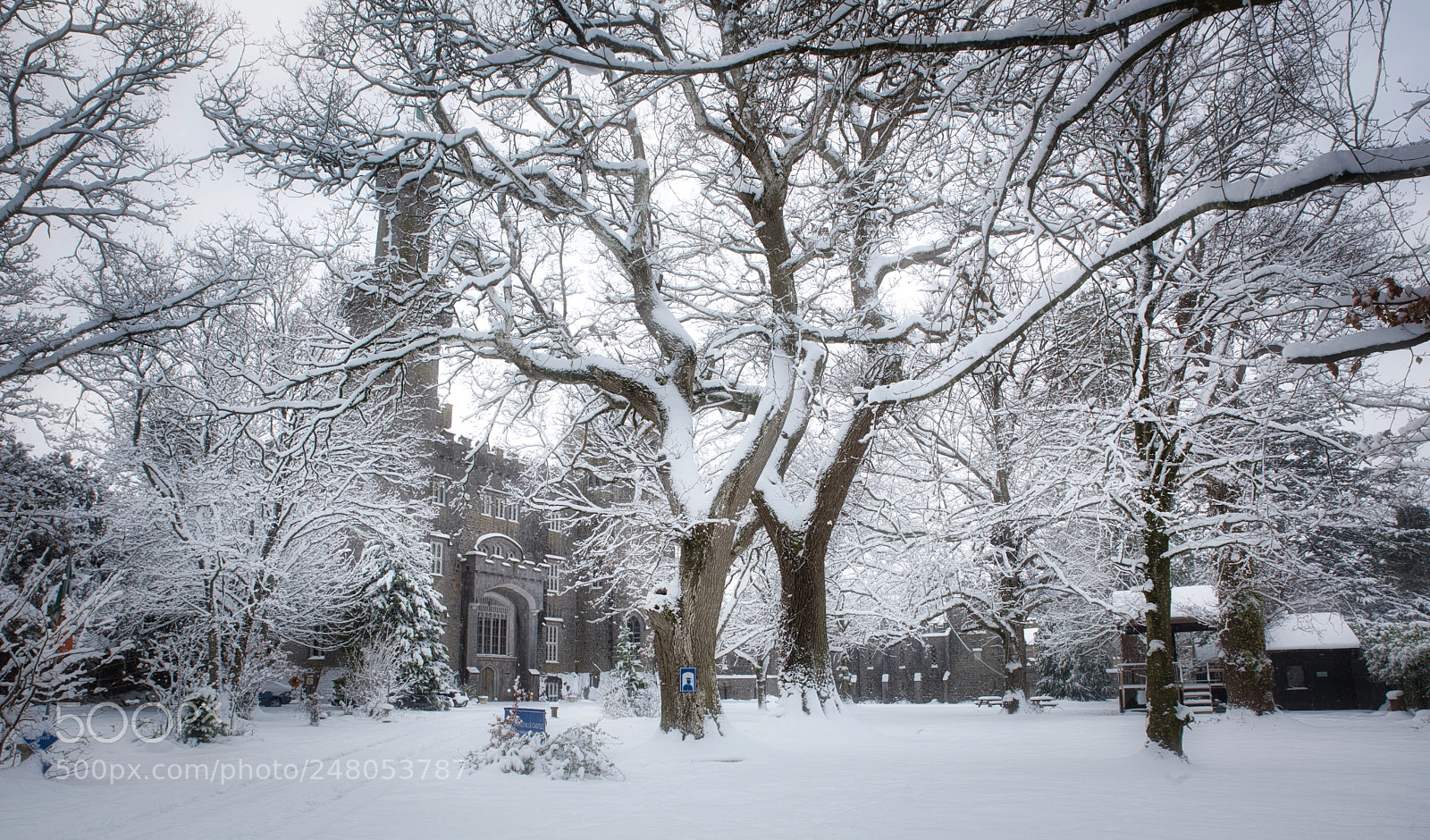 Nikon D810 sample photo. Snow storm photography