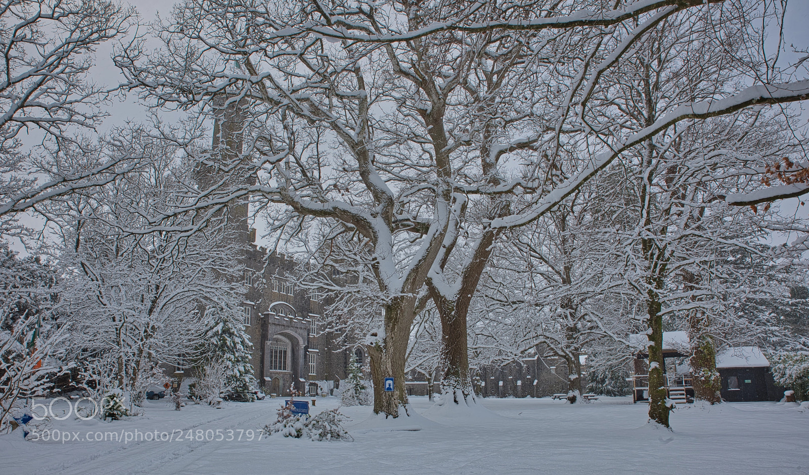 Nikon D810 sample photo. Snow storm photography