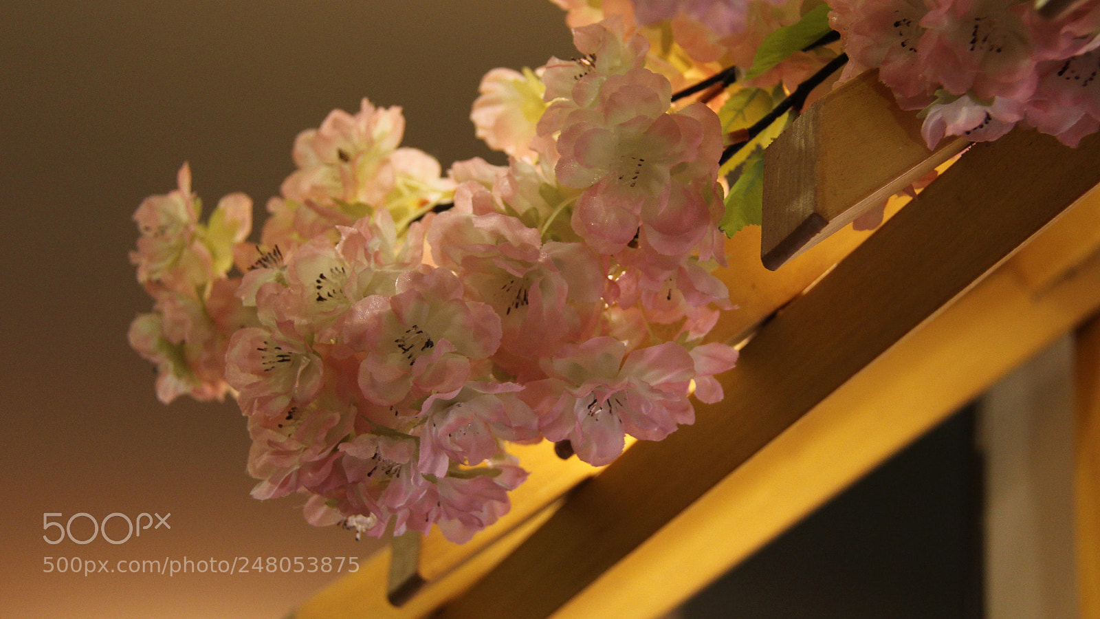 Canon EOS 60D sample photo. Untitled photography