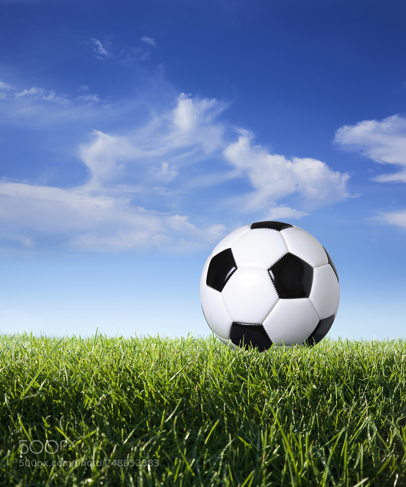 Canon EOS 5D sample photo. Profile of soccer ball photography