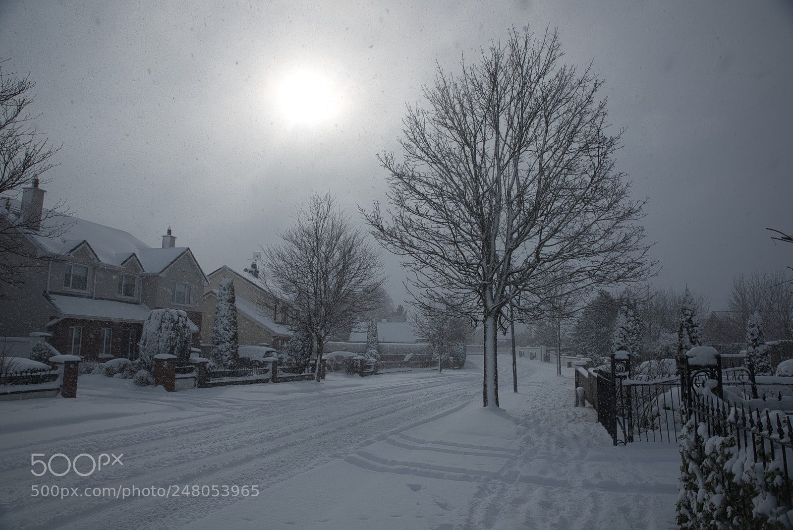 Nikon D810 sample photo. Snow storm photography