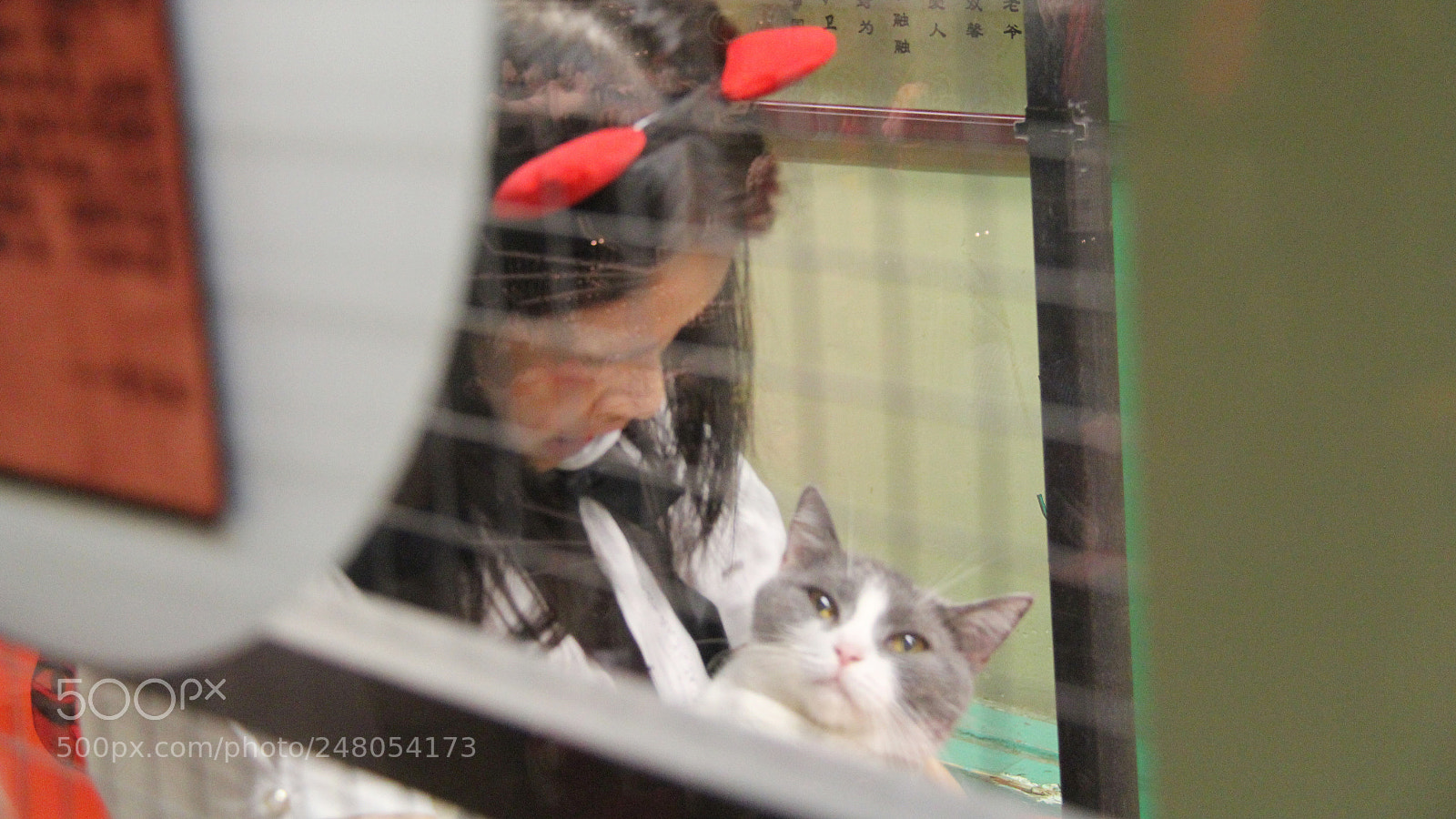 Canon EOS 60D sample photo. Untitled photography