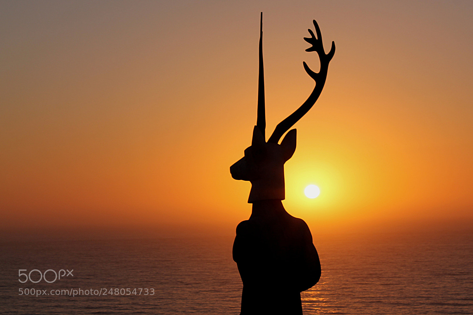 Canon EOS 1100D (EOS Rebel T3 / EOS Kiss X50) sample photo. The deer surfer of photography