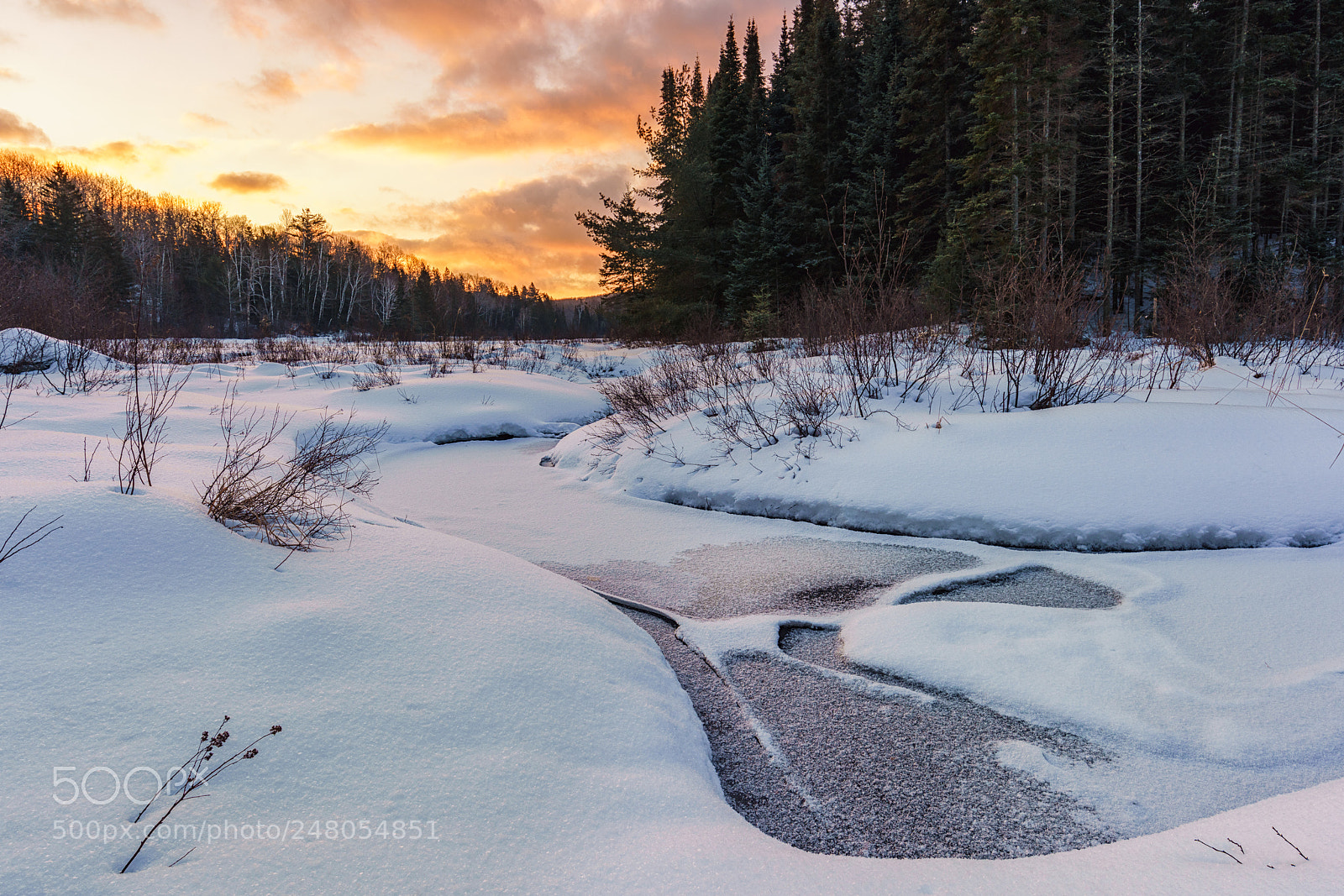 Sony a7R II sample photo. Frozen creek in a photography