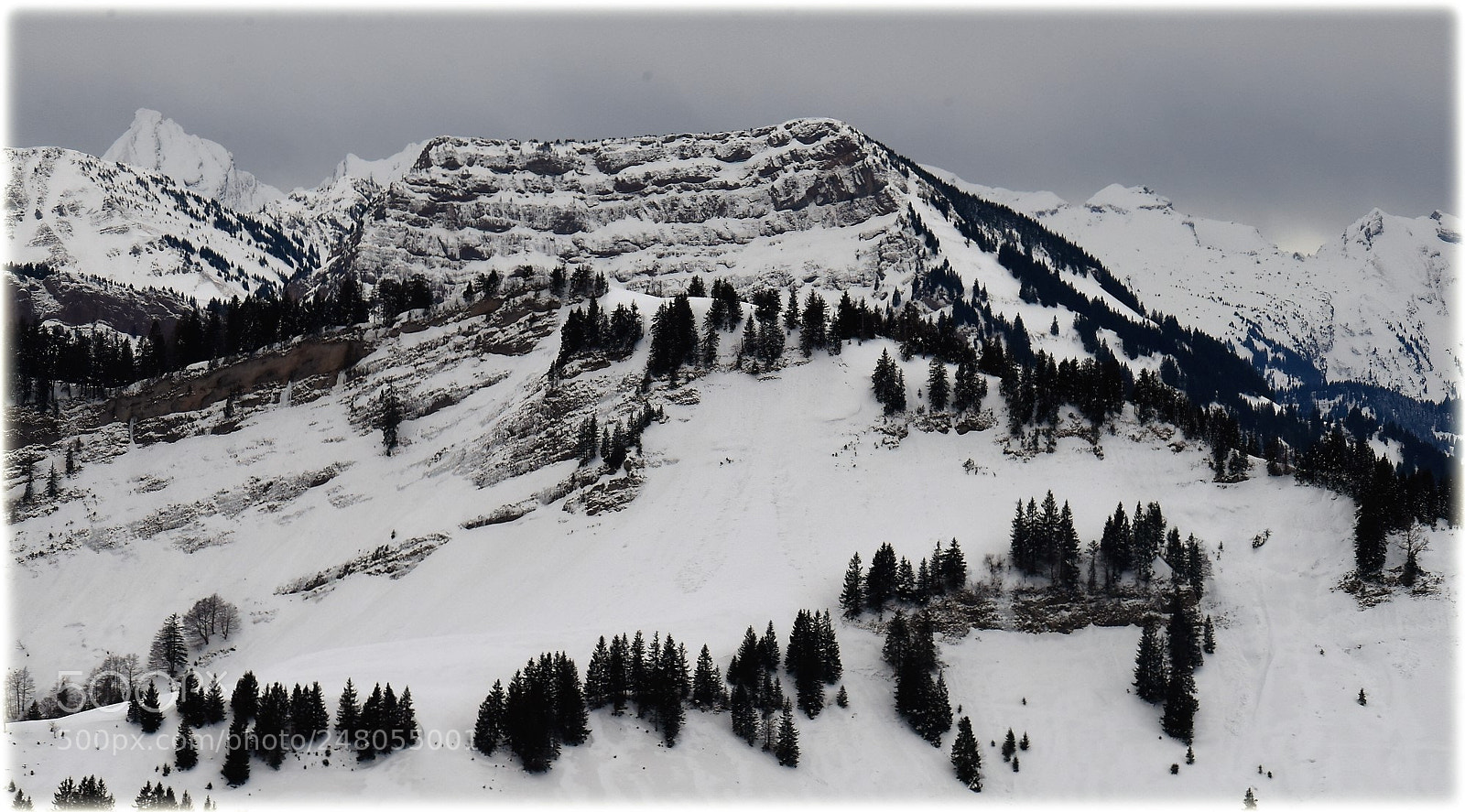Nikon D810 sample photo. "still winter" photography