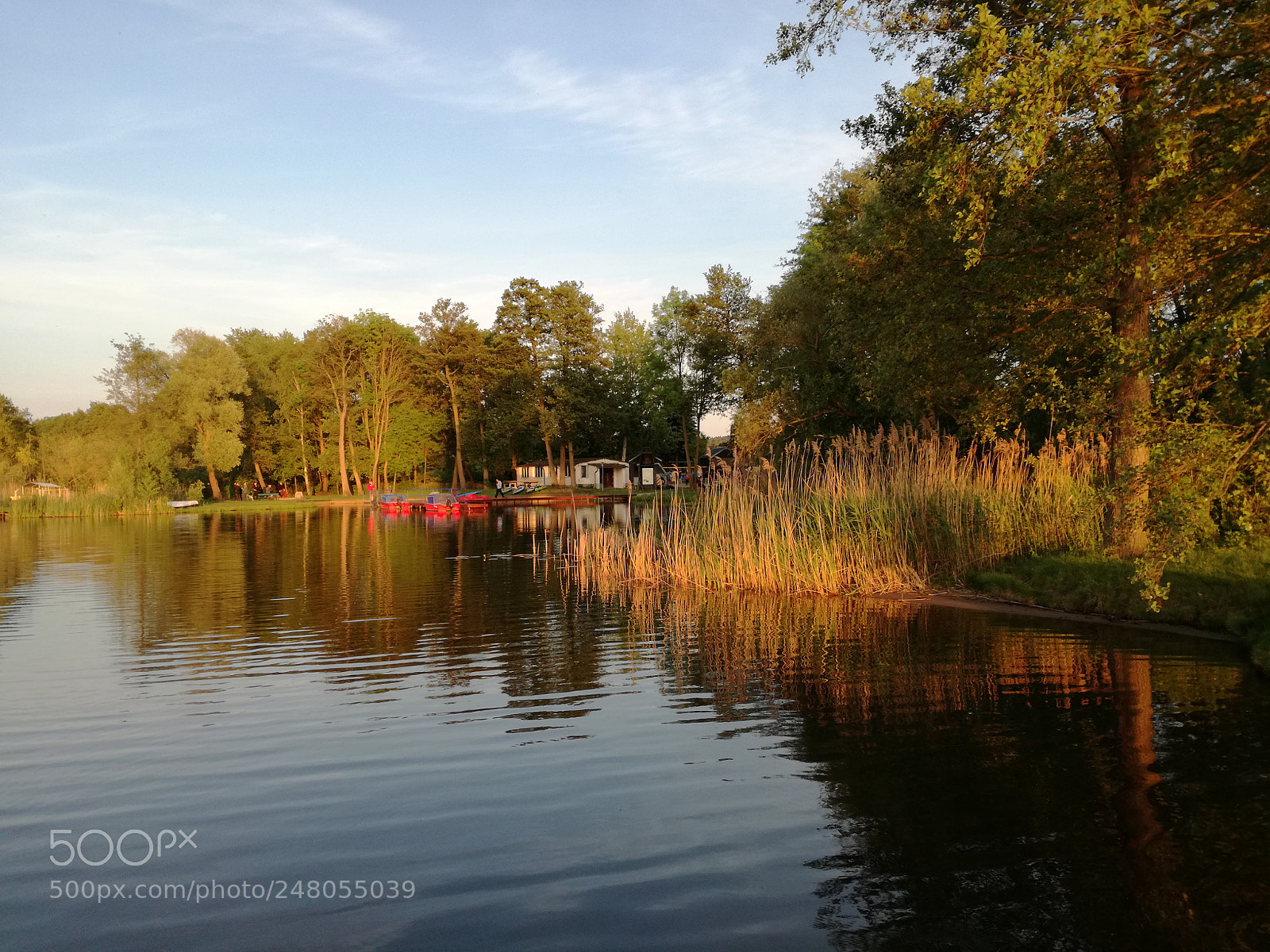 HUAWEI P9 LITE sample photo. Spreewald lakeside photography