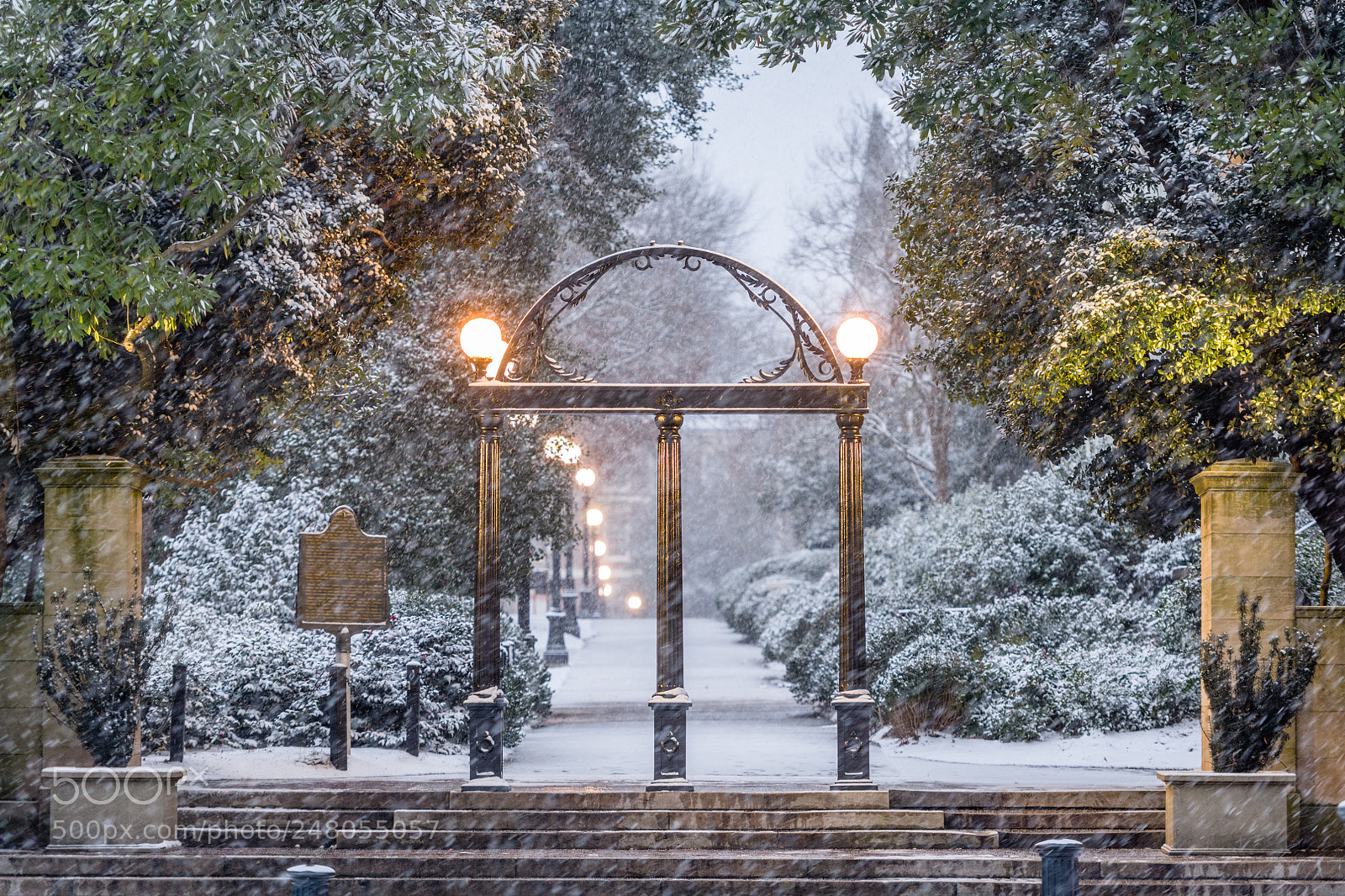 Nikon D850 sample photo. University of georgia photography
