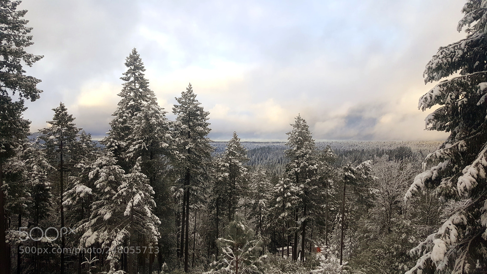 Samsung Galaxy Note5 sample photo. Morning snow photography