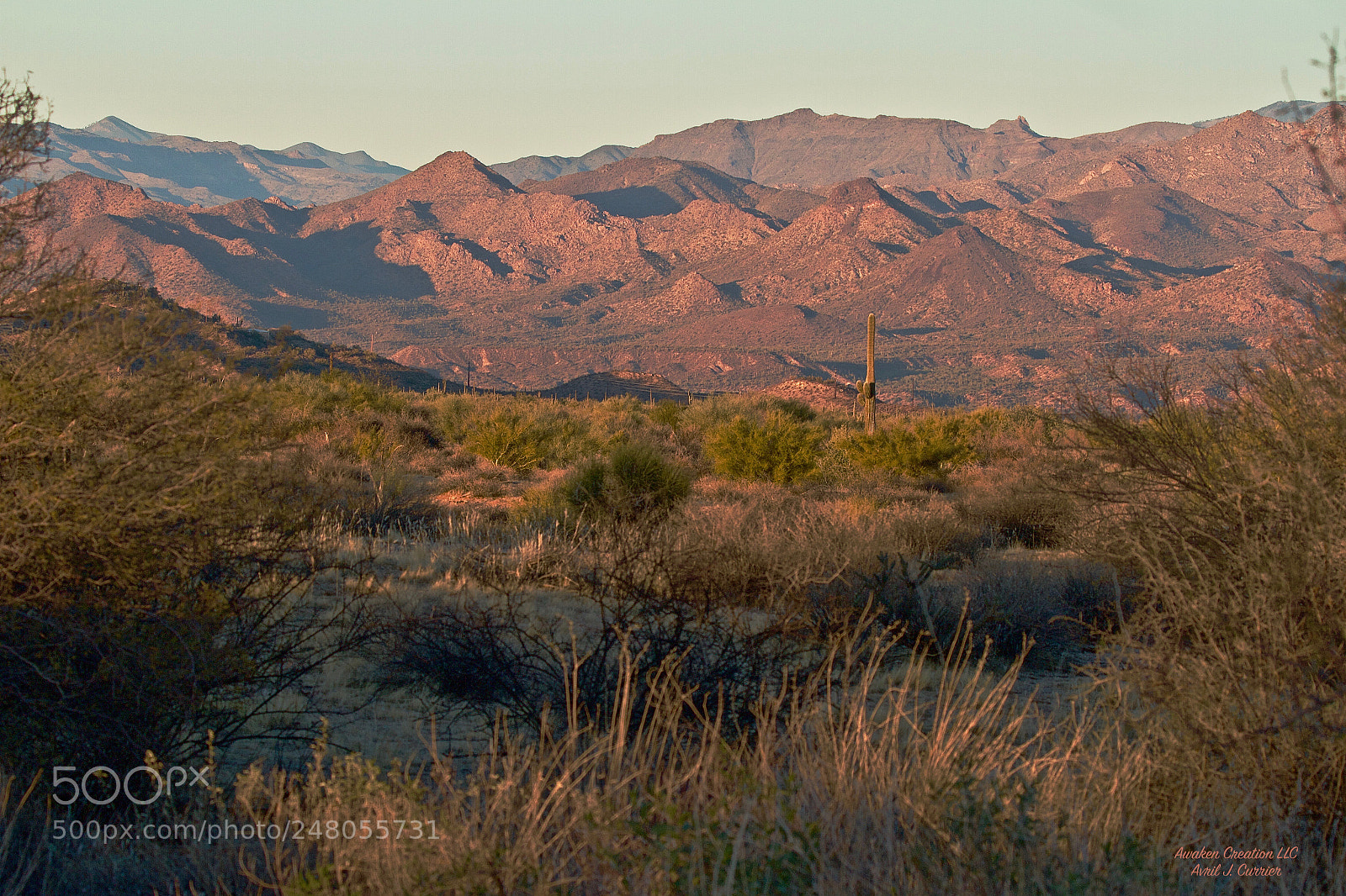 Canon EOS 7D sample photo. Arizona winter photography
