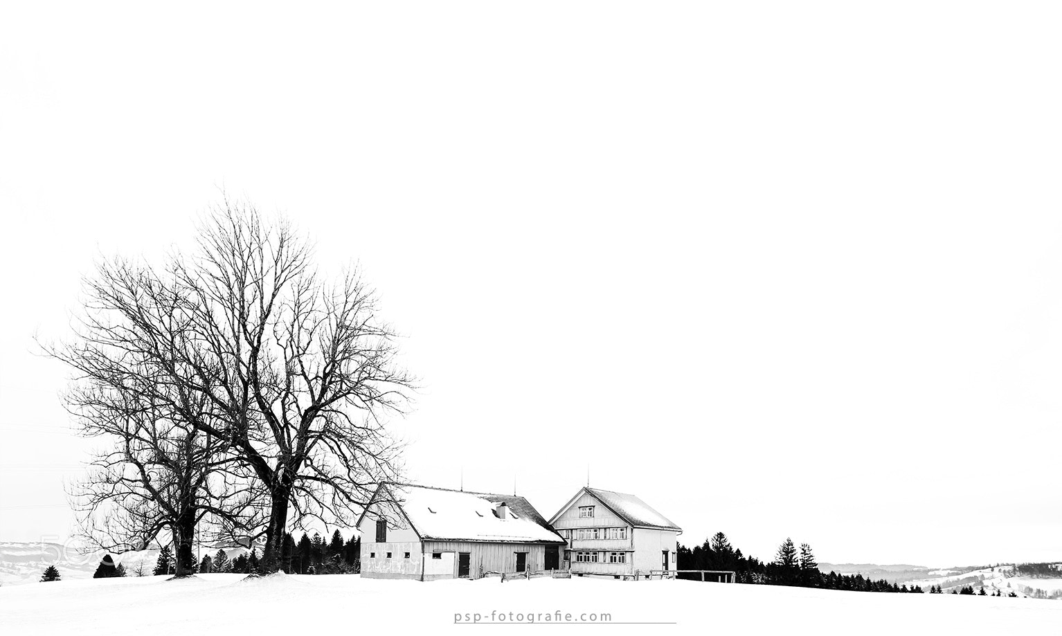 Fujifilm X-T10 sample photo. ... winter ... photography