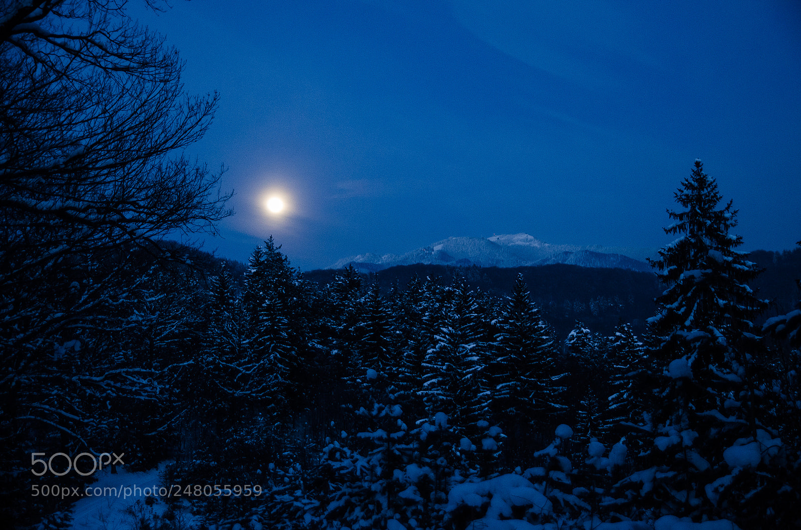 Nikon D5100 sample photo. Moon light whisper photography