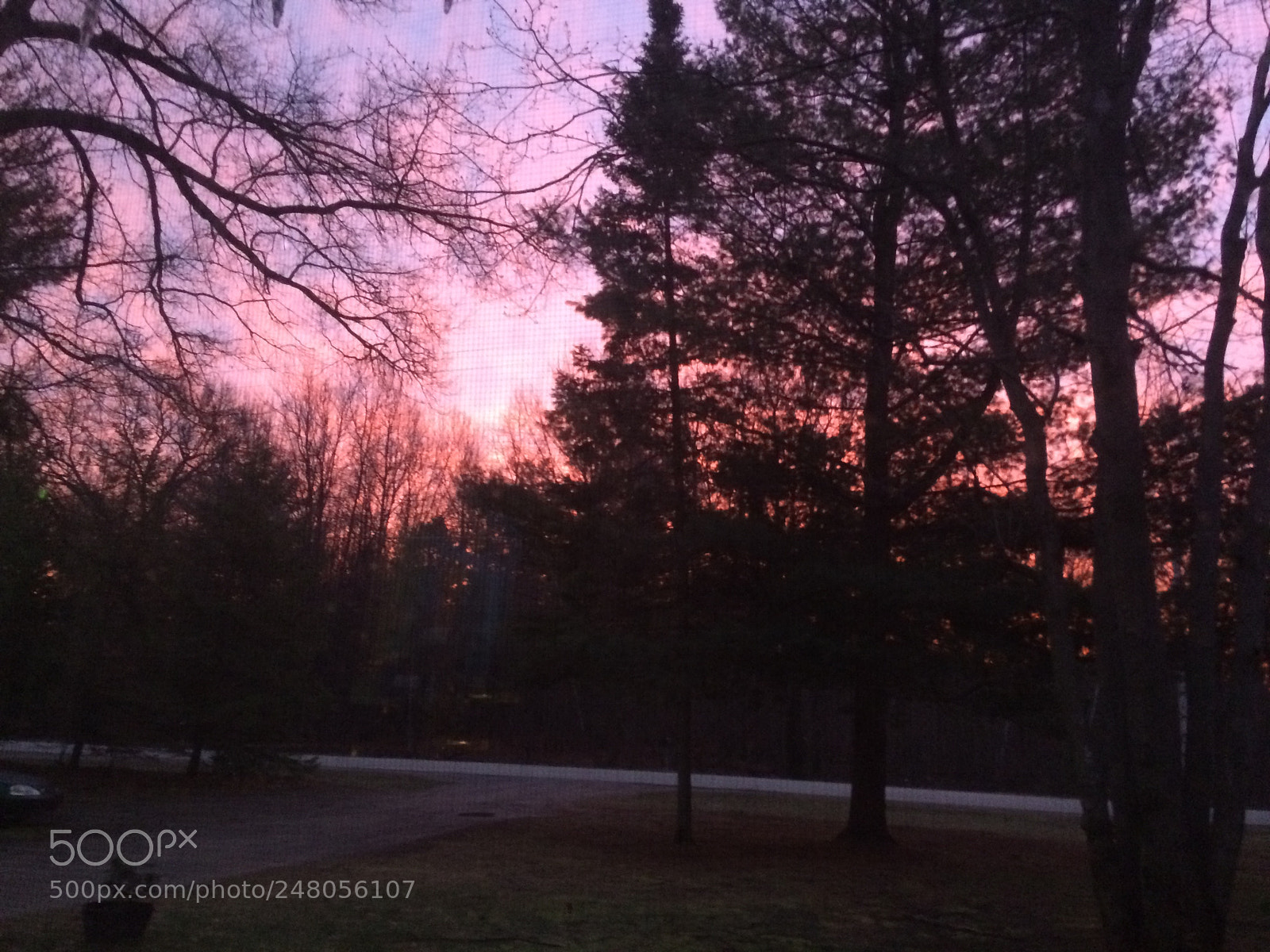 Apple iPhone 5s sample photo. Untitled photography