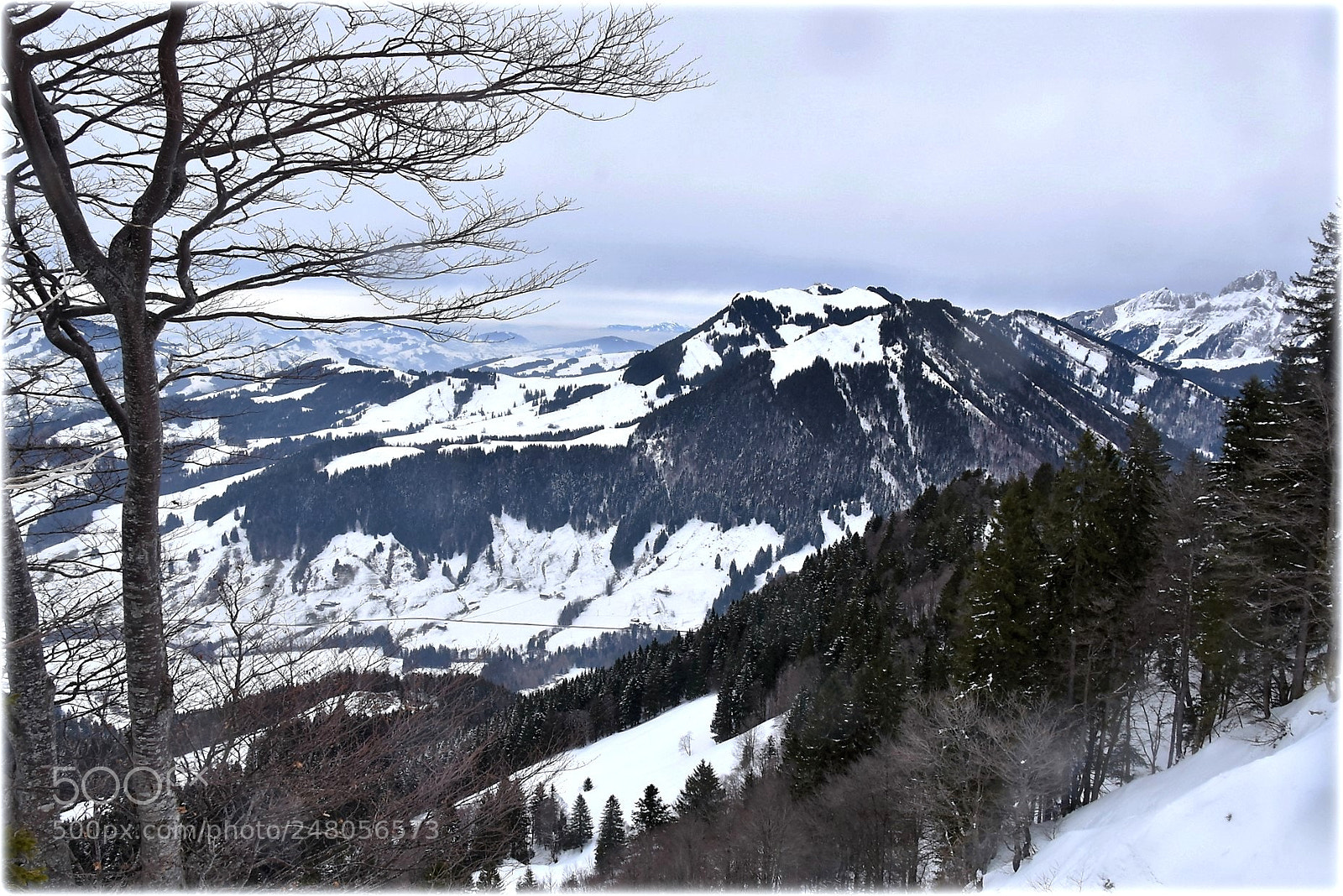 Nikon D810 sample photo. "just winter" photography