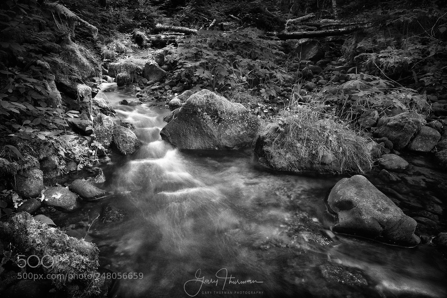 Canon EOS 7D sample photo. Steamside solitude photography