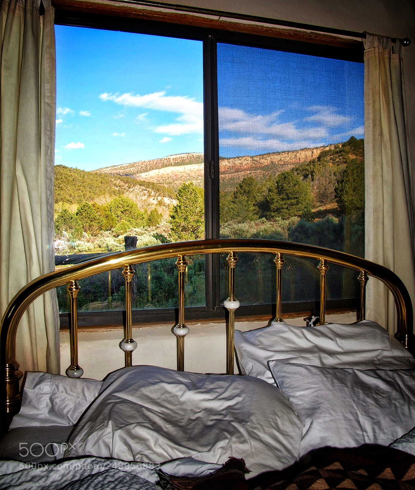 Olympus E-3 sample photo. Waking up in the photography