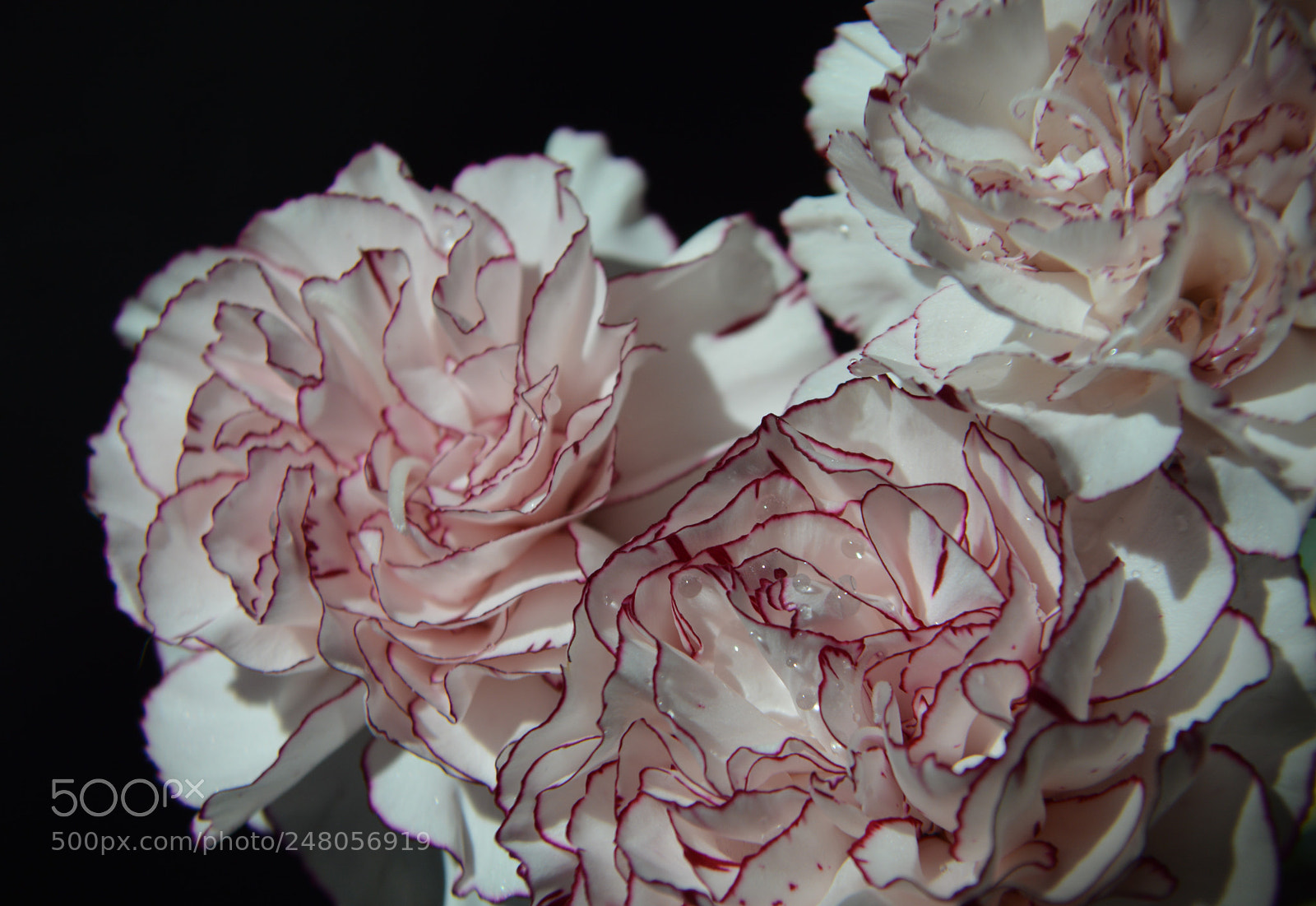Nikon D3200 sample photo. Edgewise photography