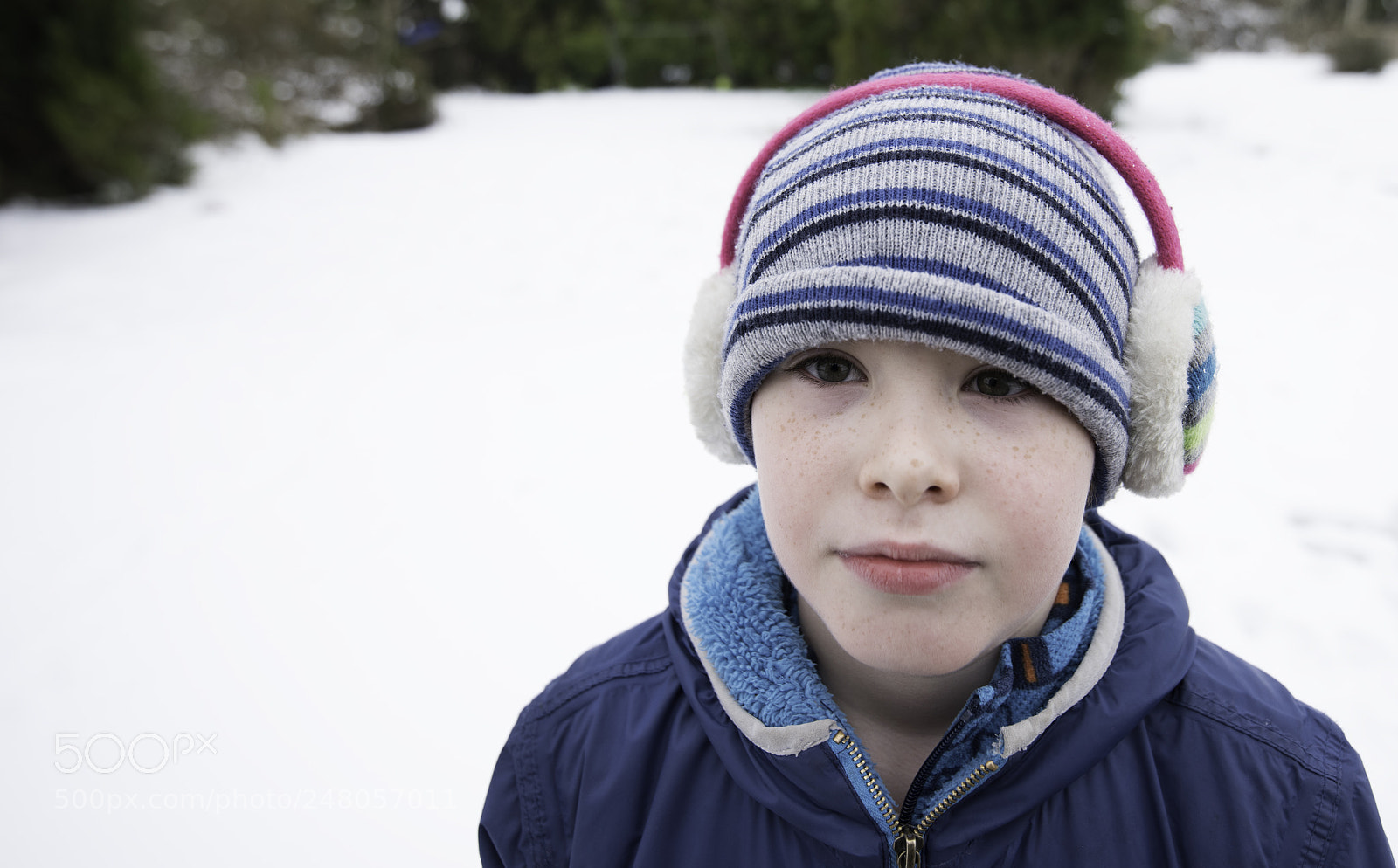 Nikon D810 sample photo. Frozen edward photography