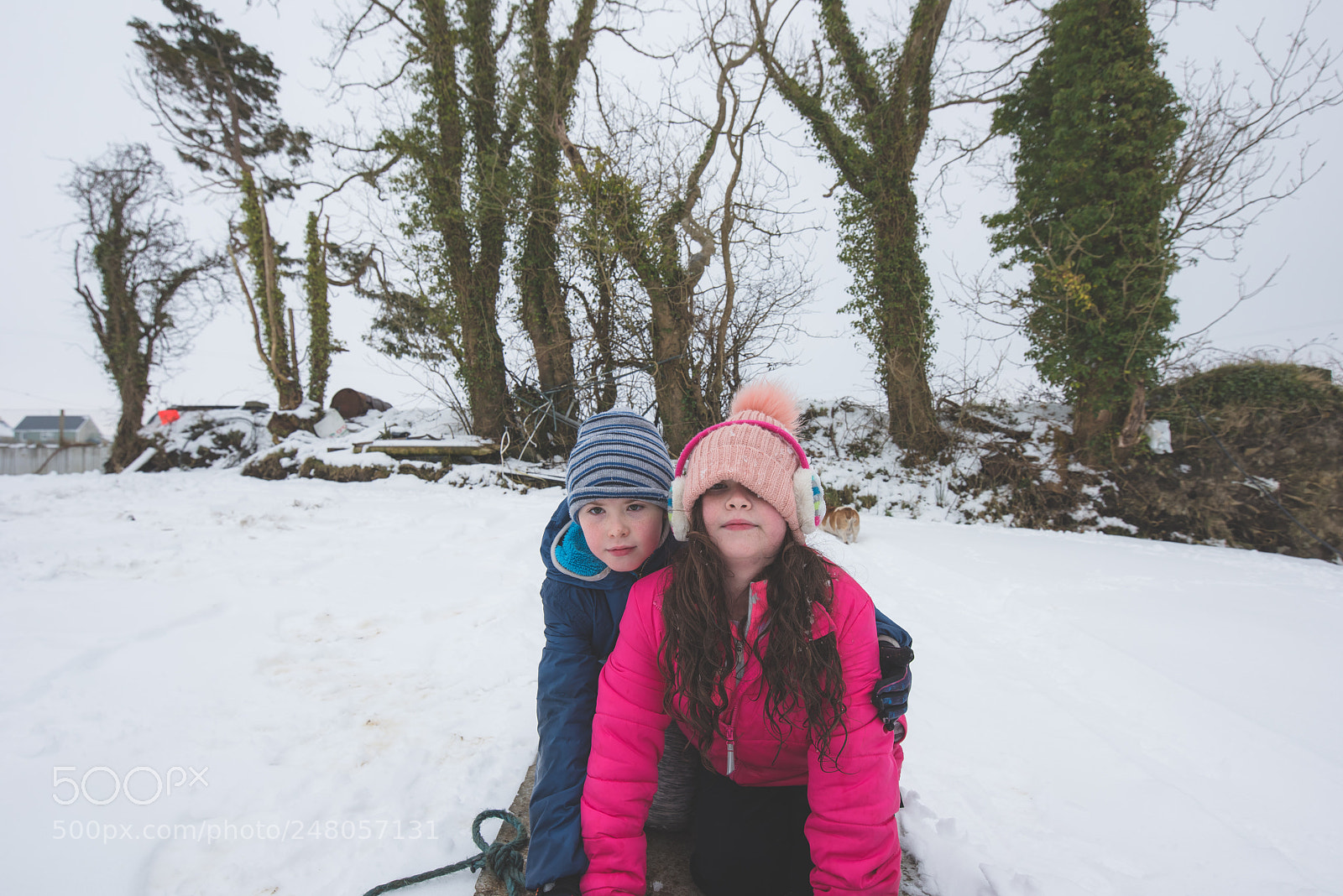 Nikon D810 sample photo. Kids on sleagh close photography