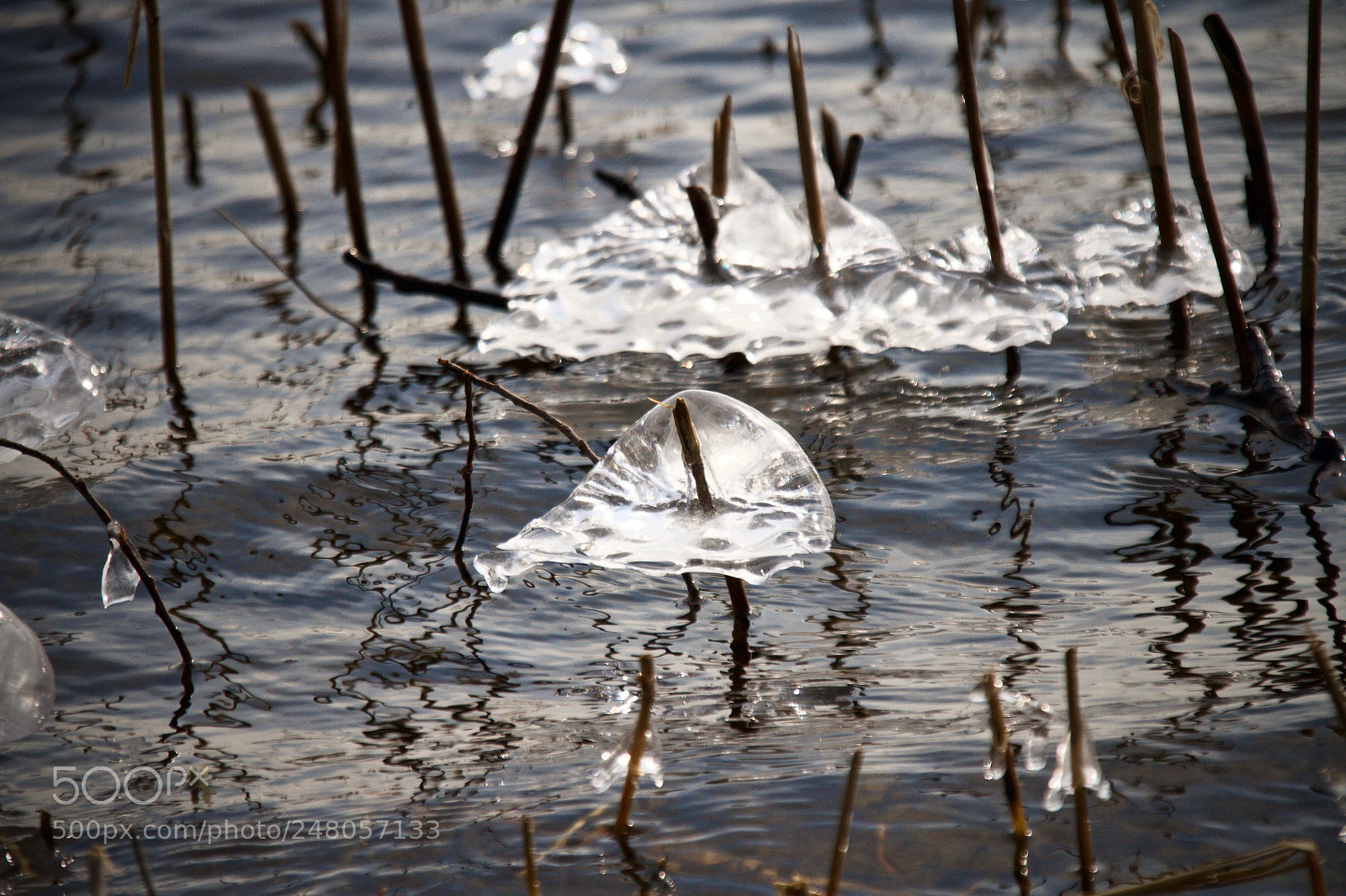 Canon EOS 7D sample photo. Cold mornings photography