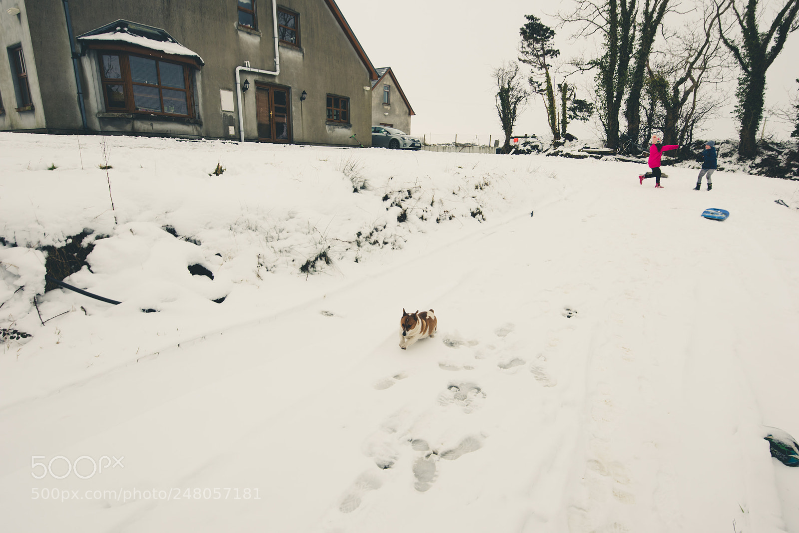Nikon D810 sample photo. Smiggles on the run photography