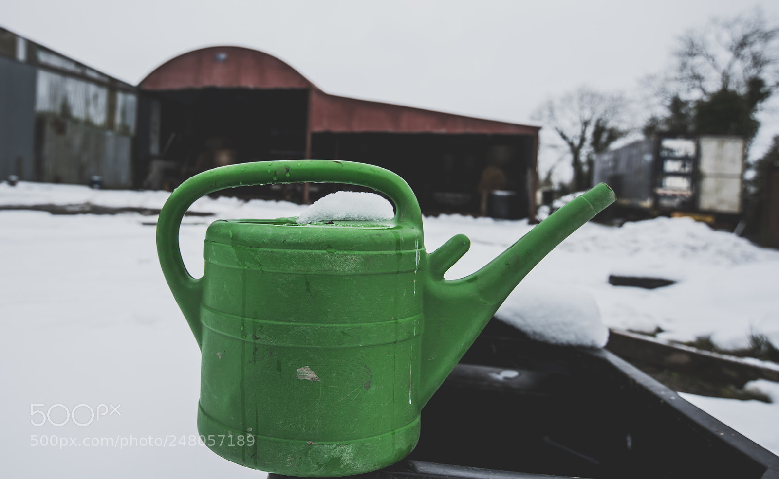Nikon D810 sample photo. Watering can photography