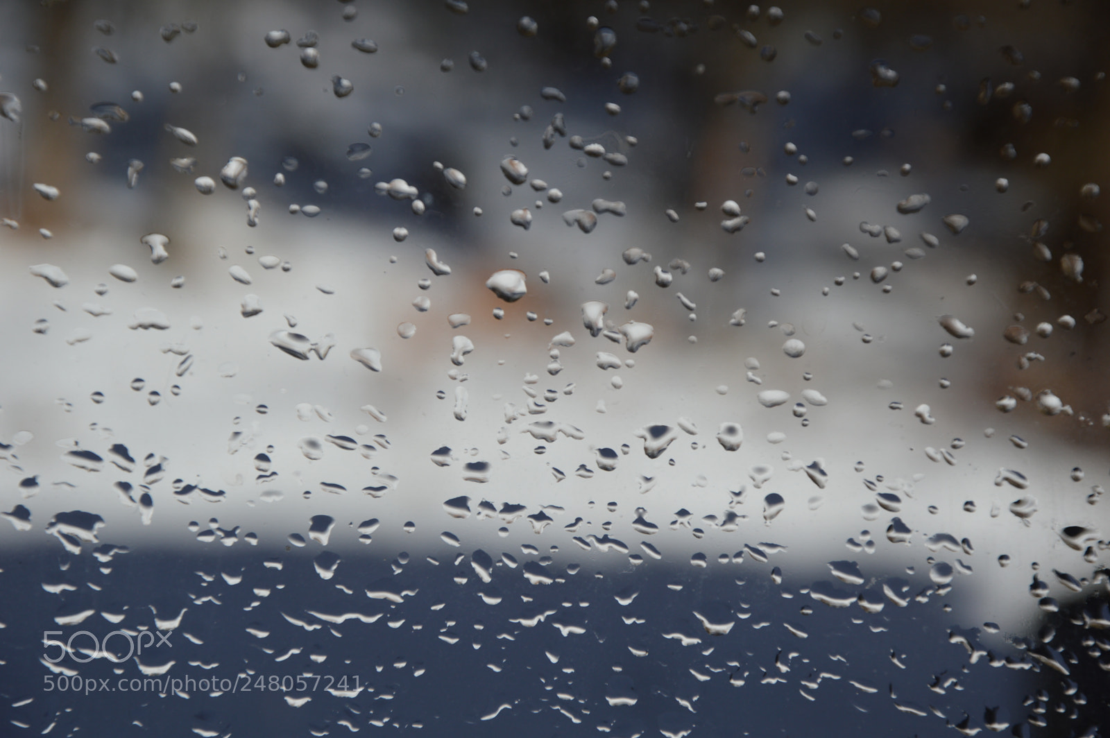 Nikon D3200 sample photo. Rain drops on the photography
