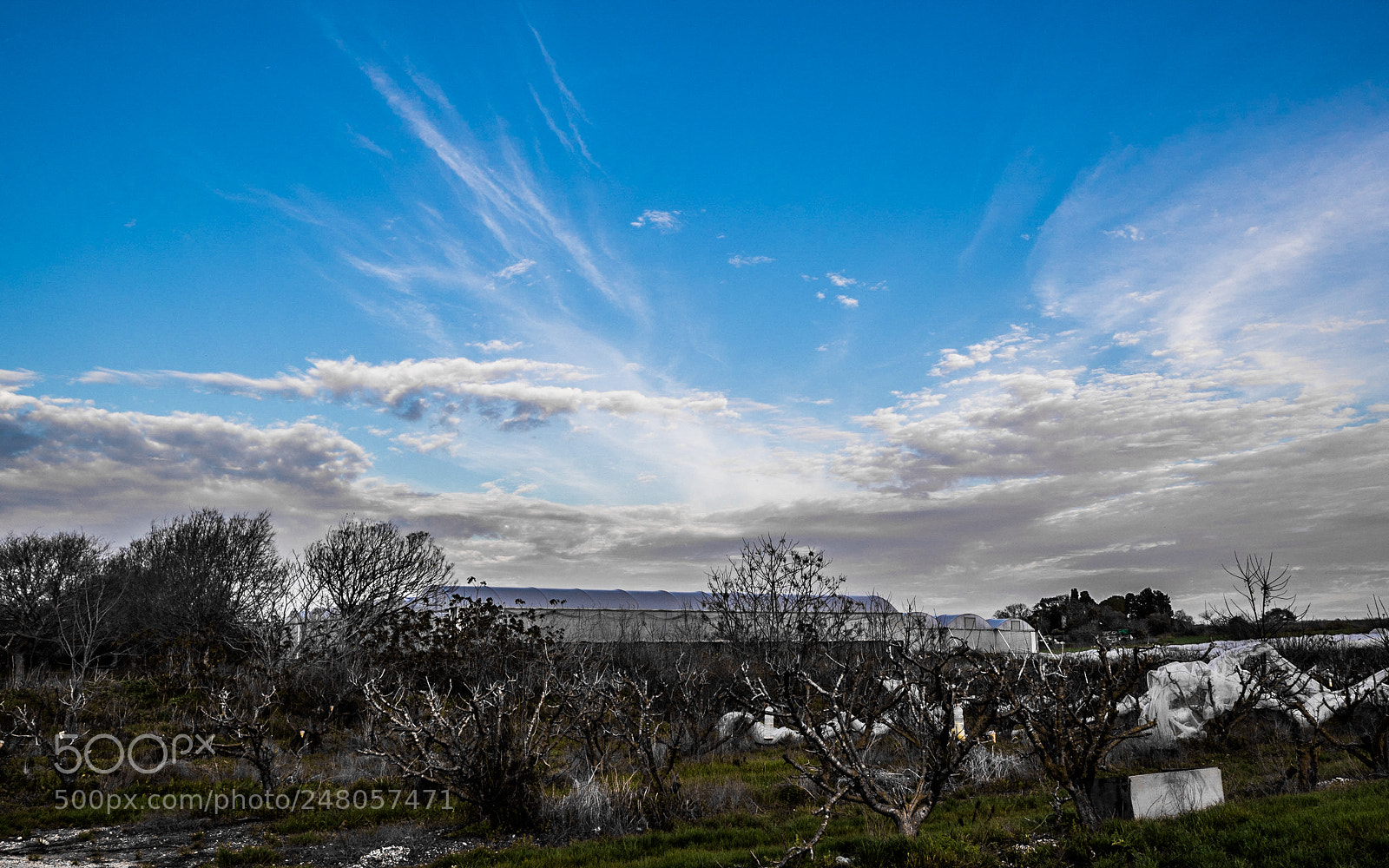 Olympus OM-D E-M1 Mark II sample photo. Olympus digital camera photography